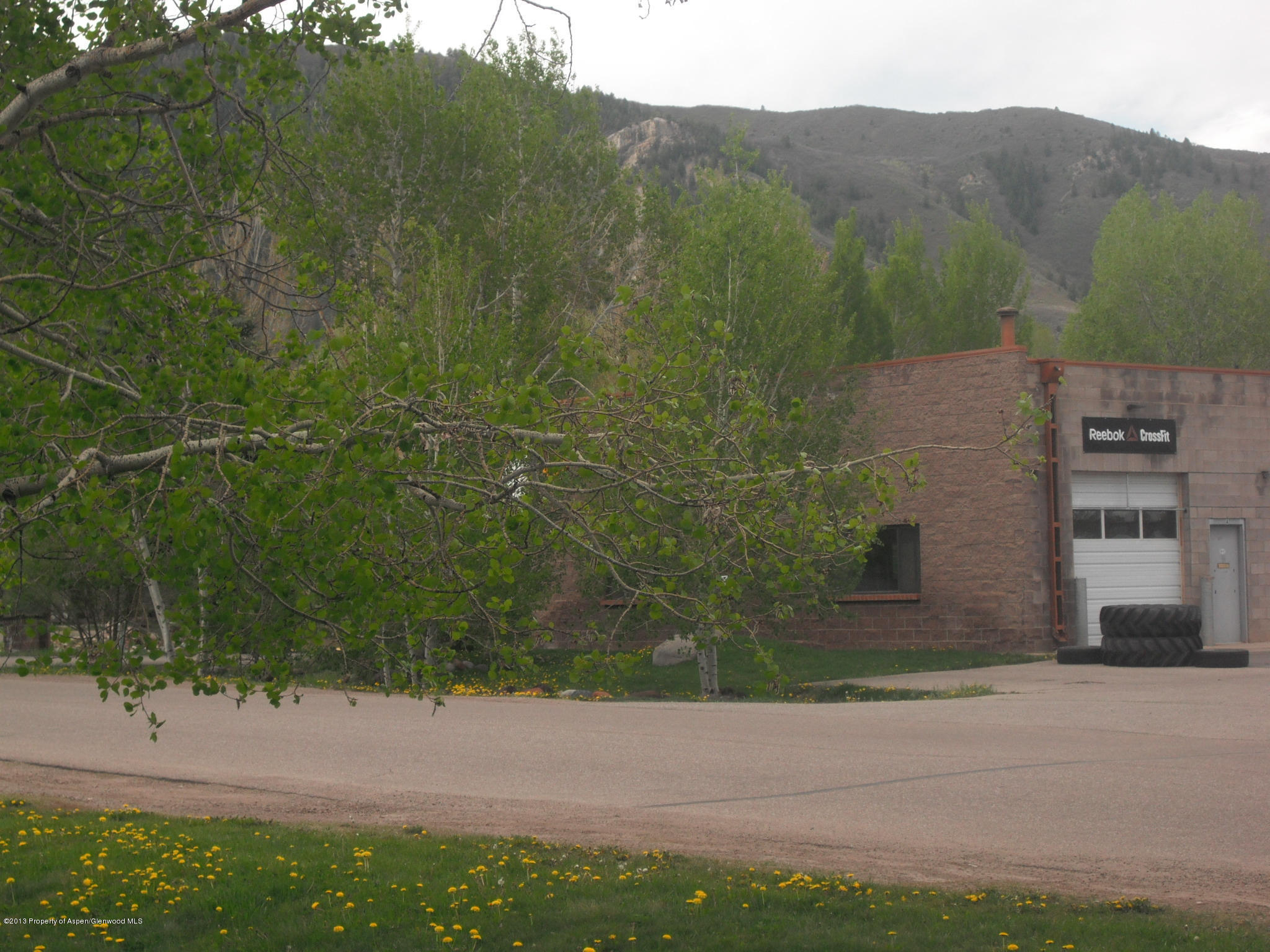 405 Park Avenue Basalt CO 81621