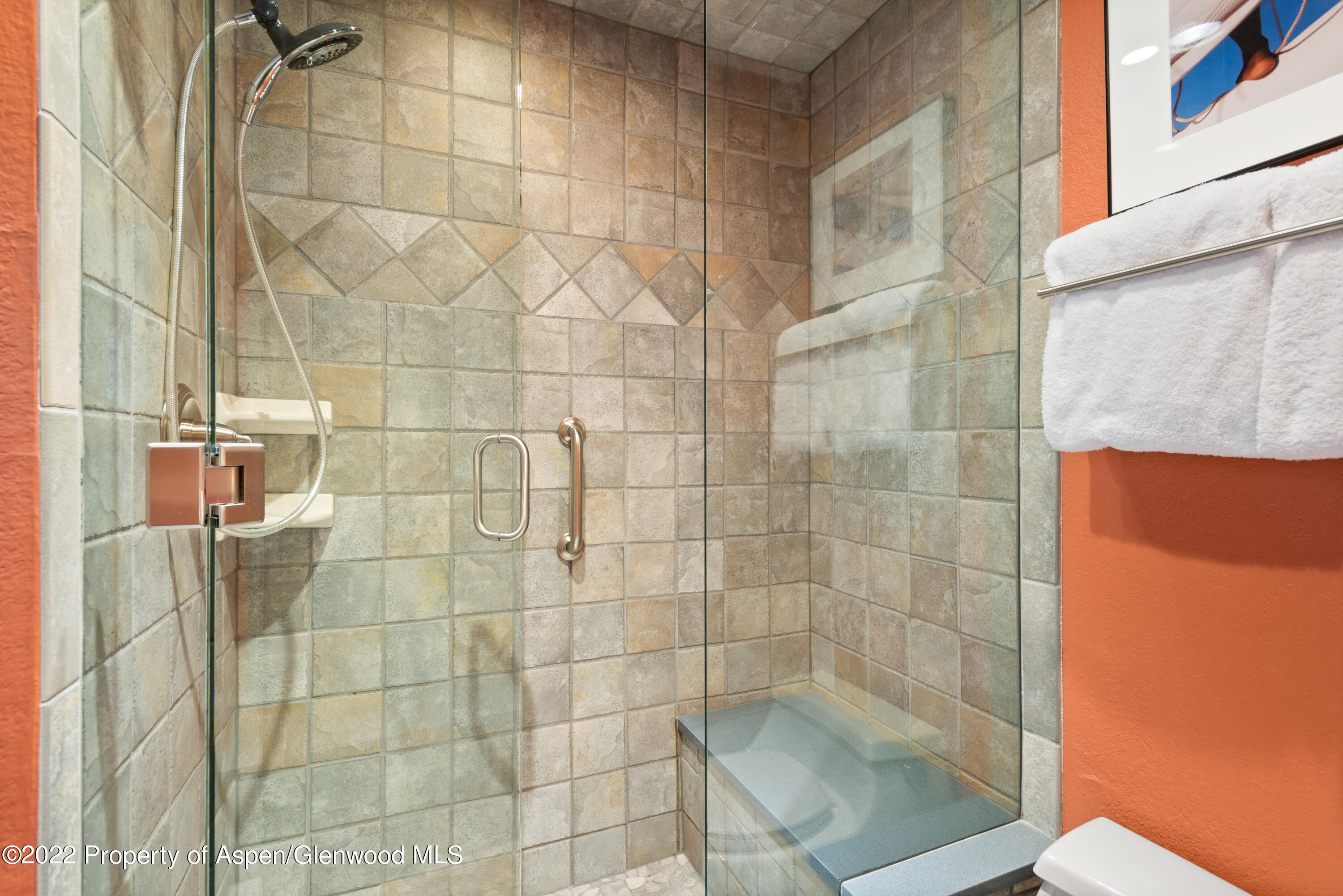 55 Upper Woodbridge Road Snowmass Village CO 81615
