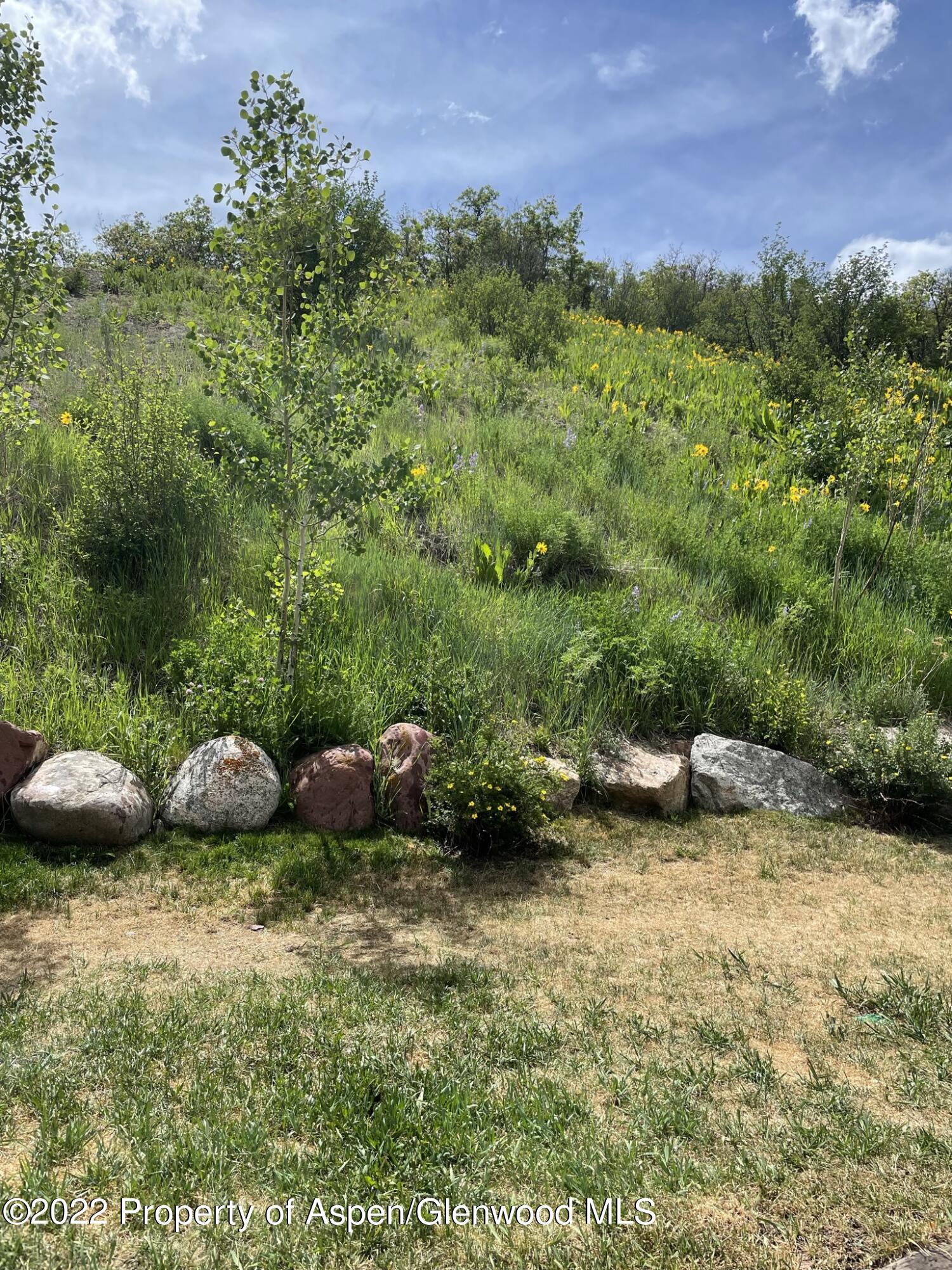 55 Upper Woodbridge Road Snowmass Village CO 81615
