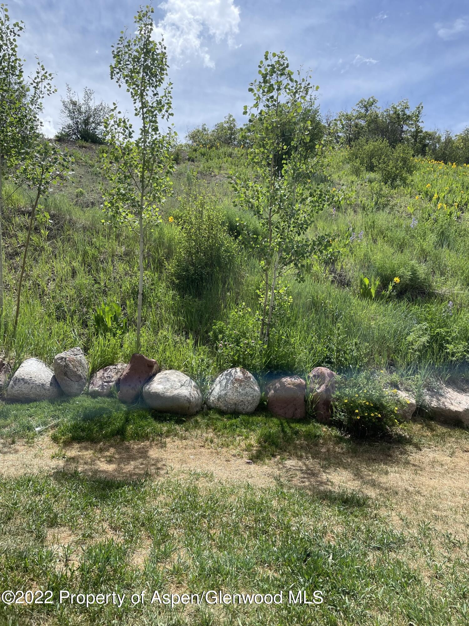 55 Upper Woodbridge Road Snowmass Village CO 81615
