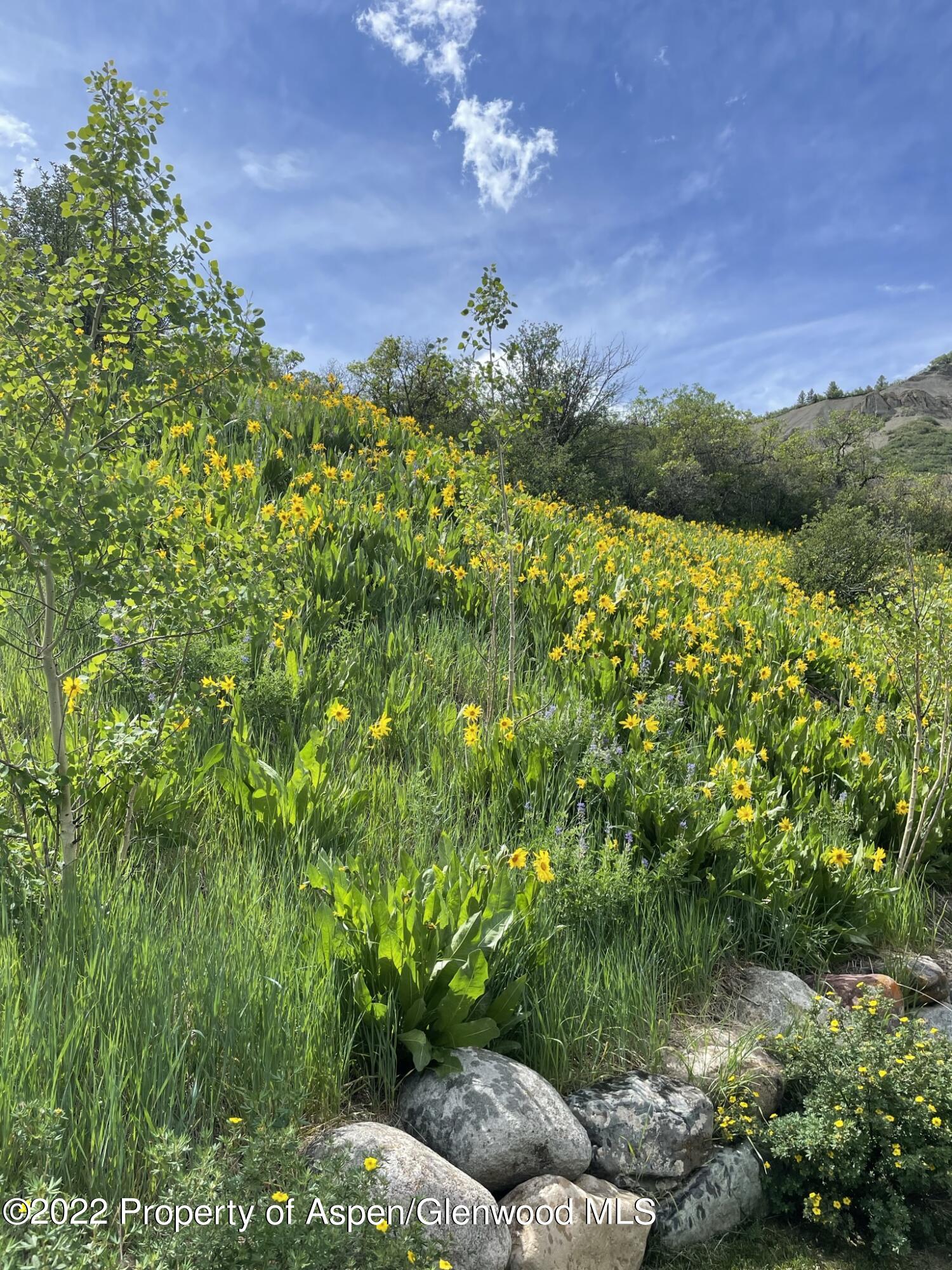 55 Upper Woodbridge Road Snowmass Village CO 81615