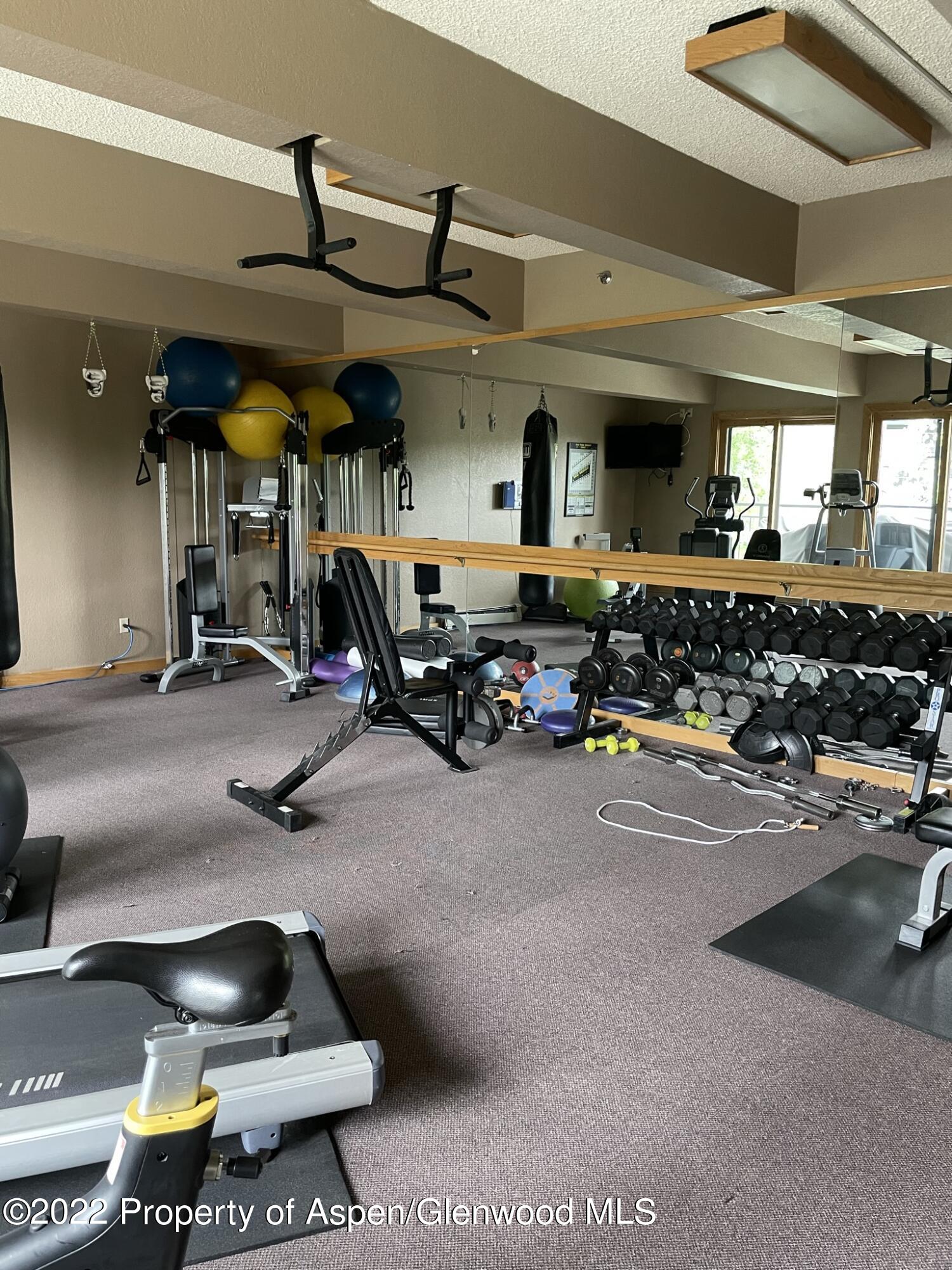 55 Upper Woodbridge Road Snowmass Village CO 81615
