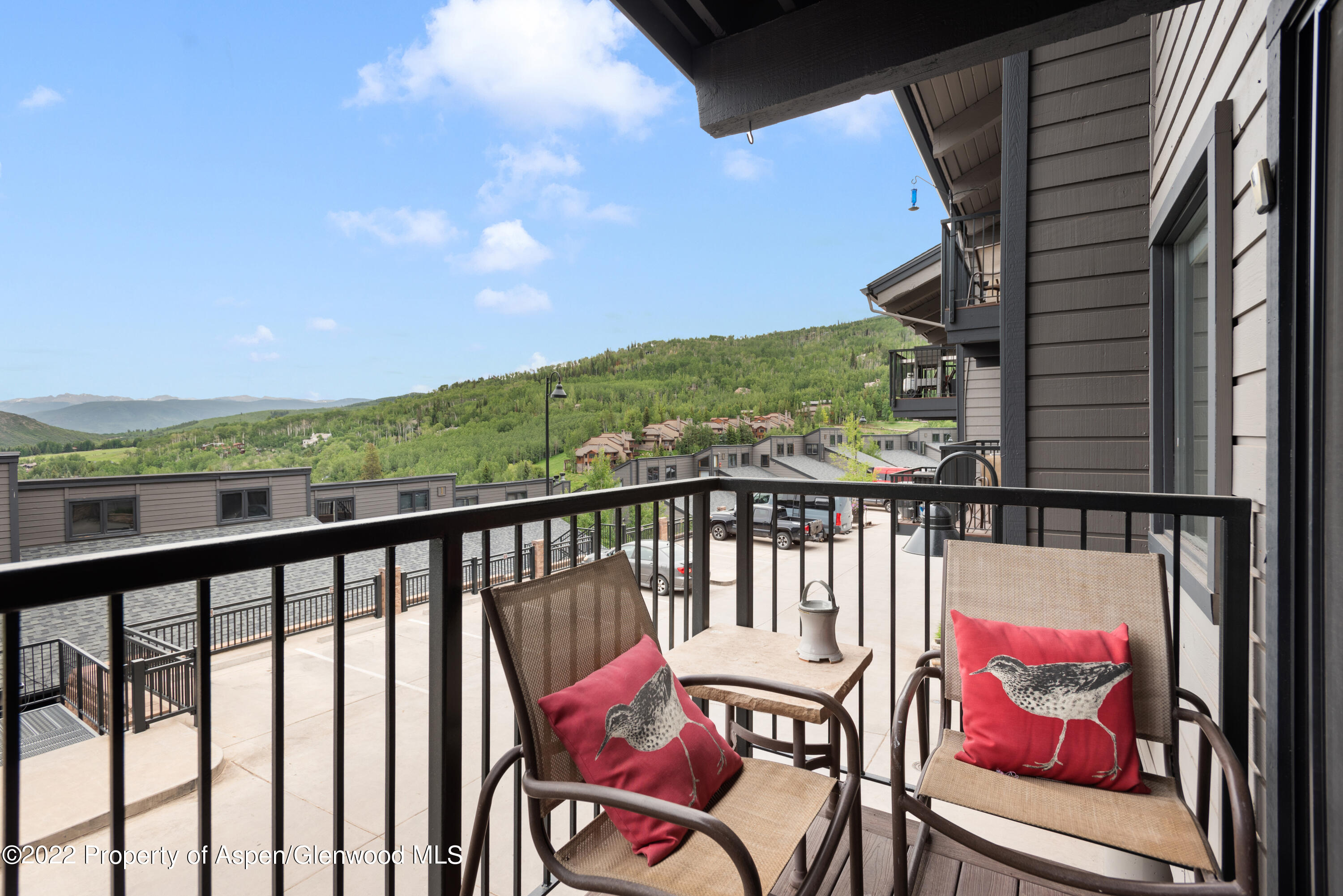 55 Upper Woodbridge Road Snowmass Village CO 81615