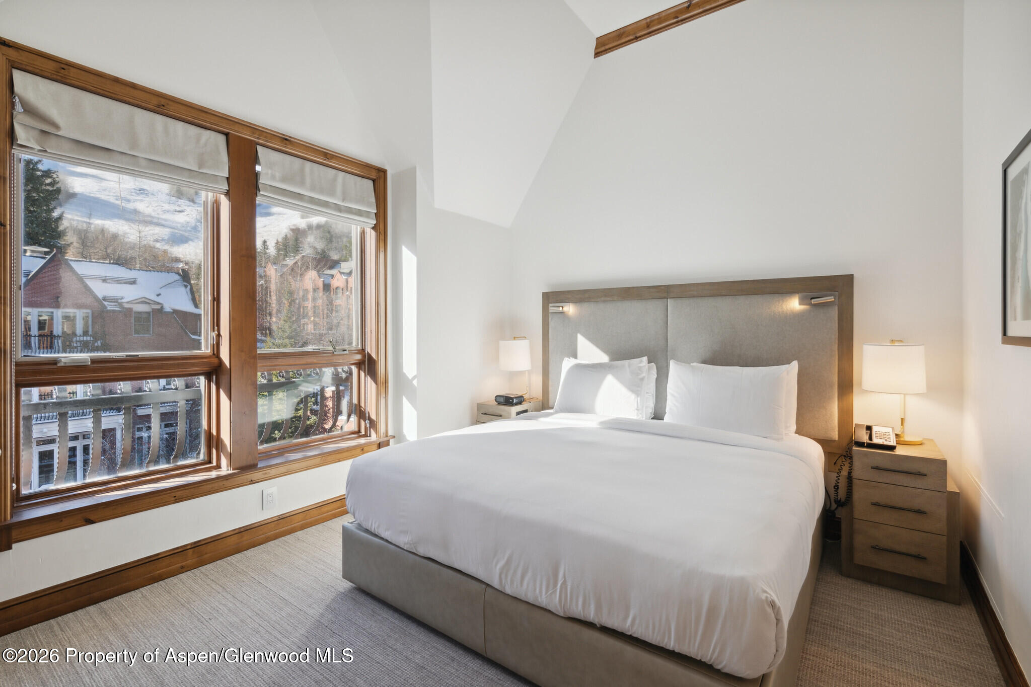415 E Dean St., Unit 26, Week 33 Aspen CO 81611