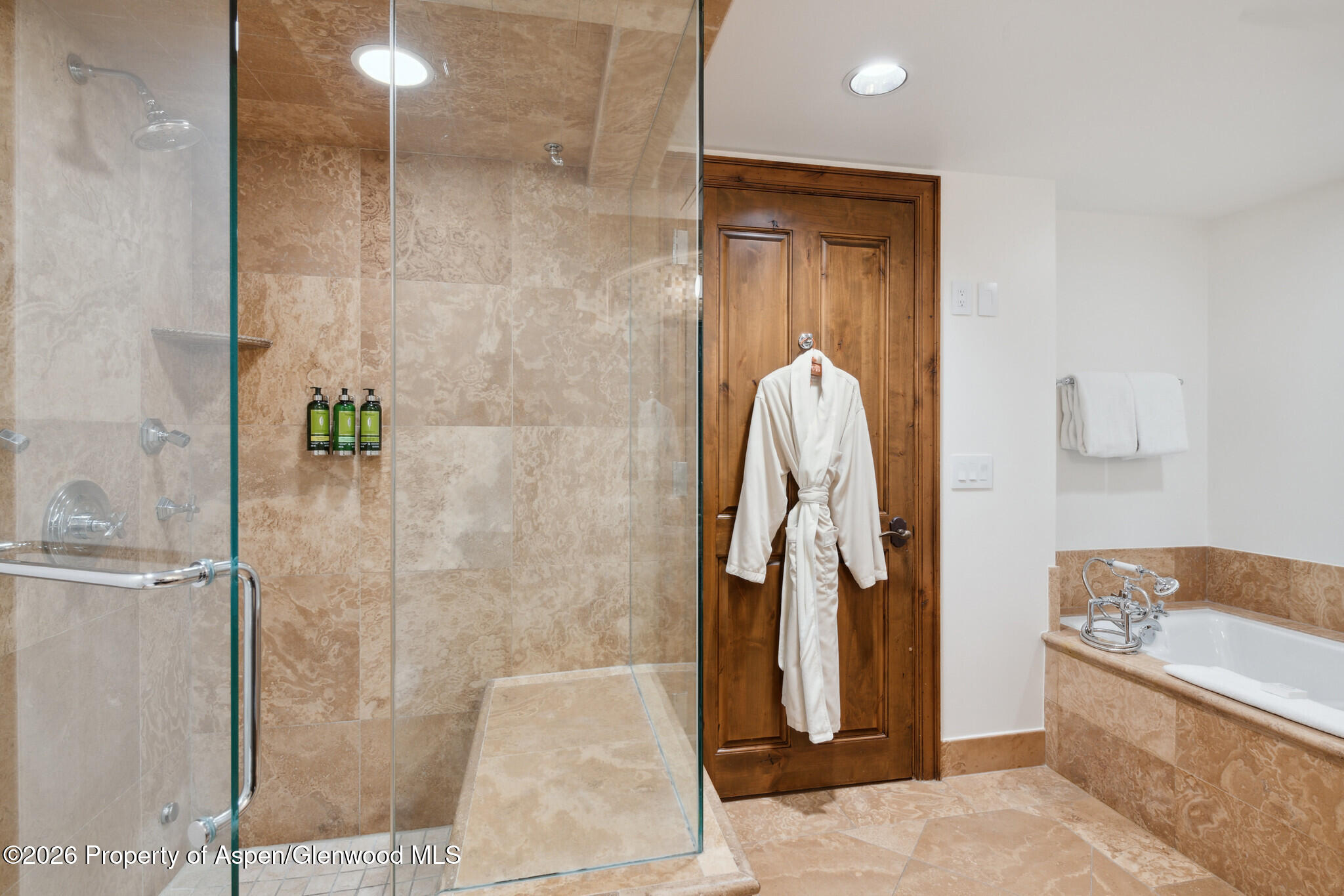 415 E Dean St., Unit 26, Week 33 Aspen CO 81611