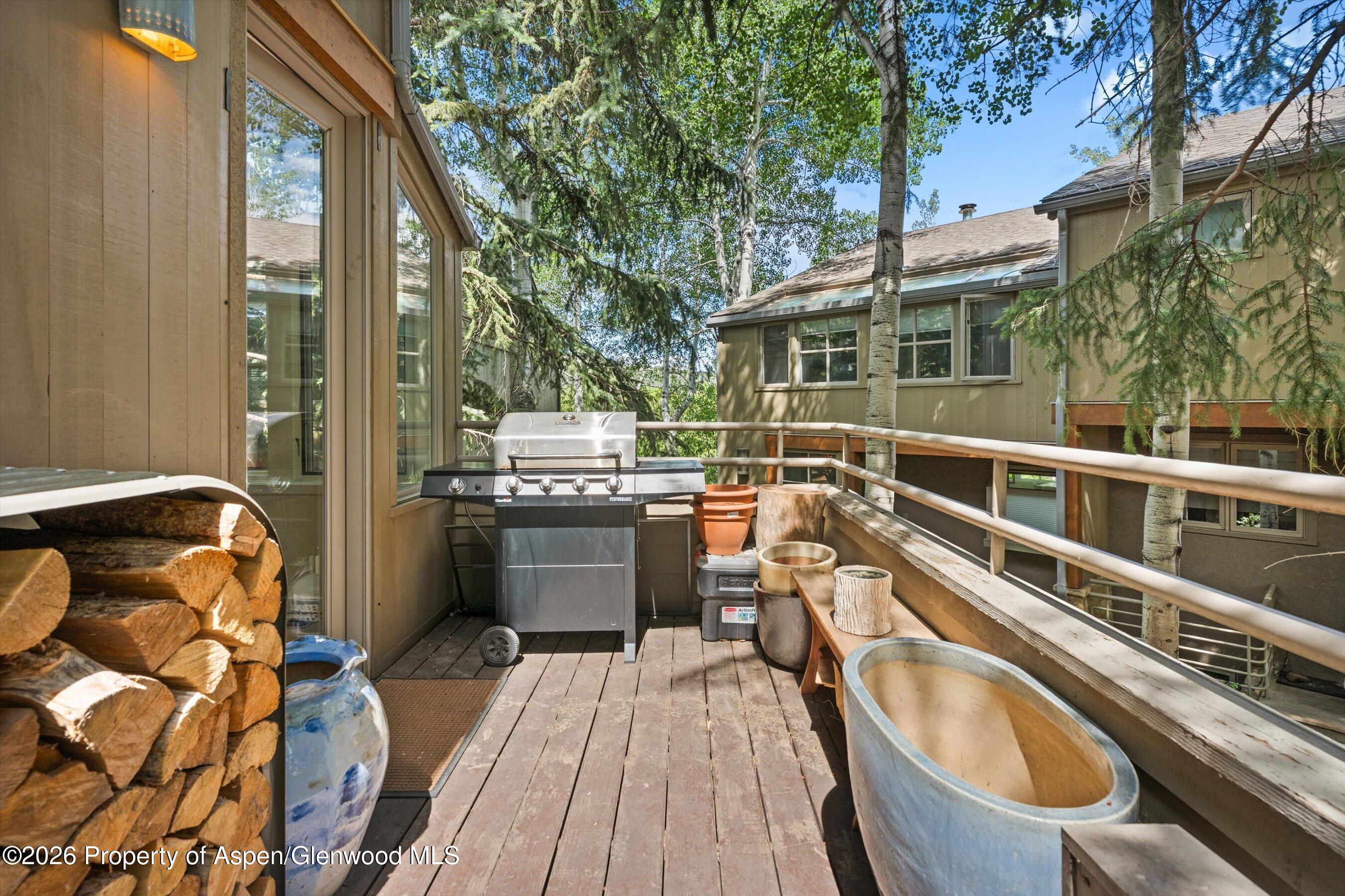 100 N Eighth Street Aspen CO 81611