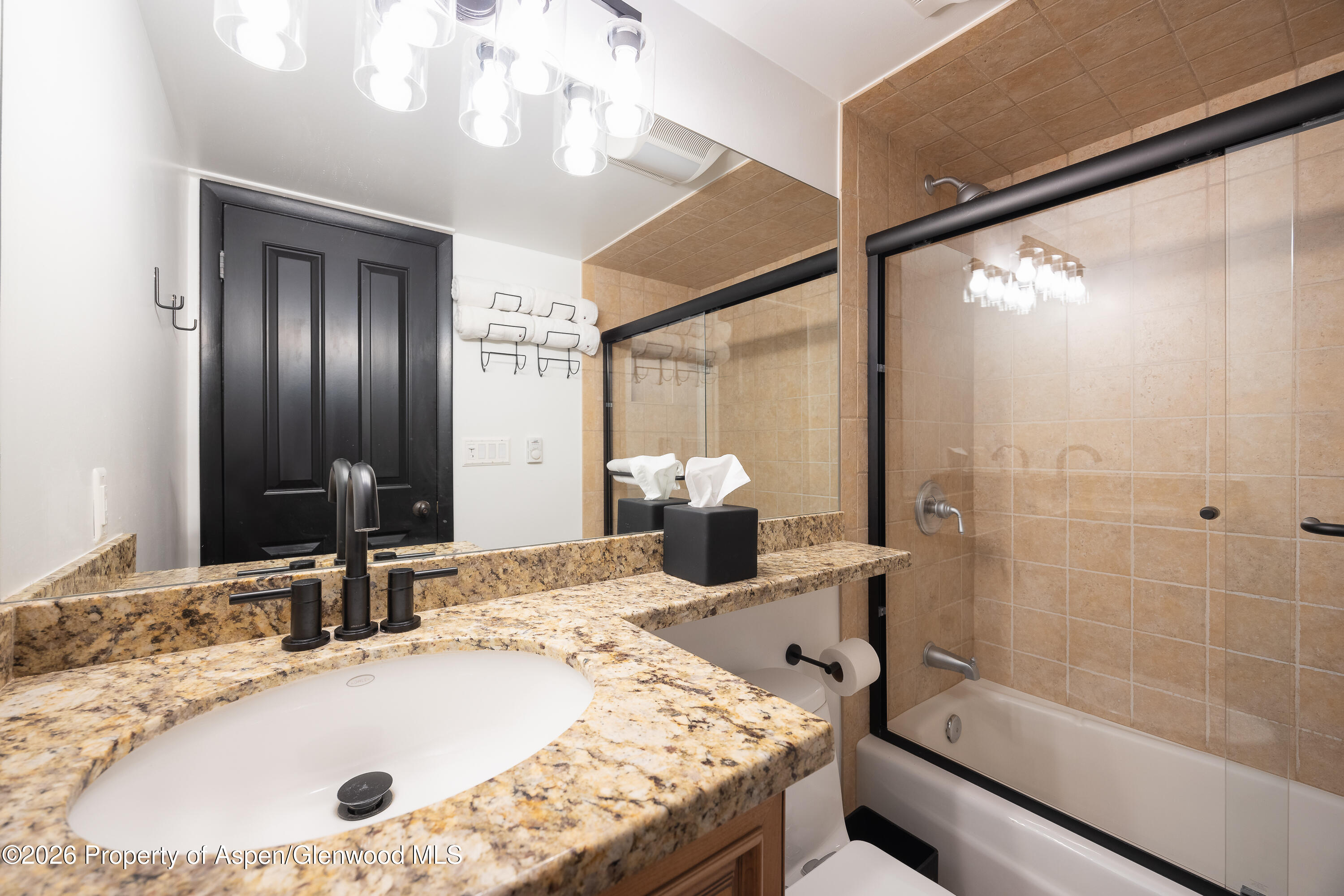 901 E Hyman Avenue Aspen CO 81611