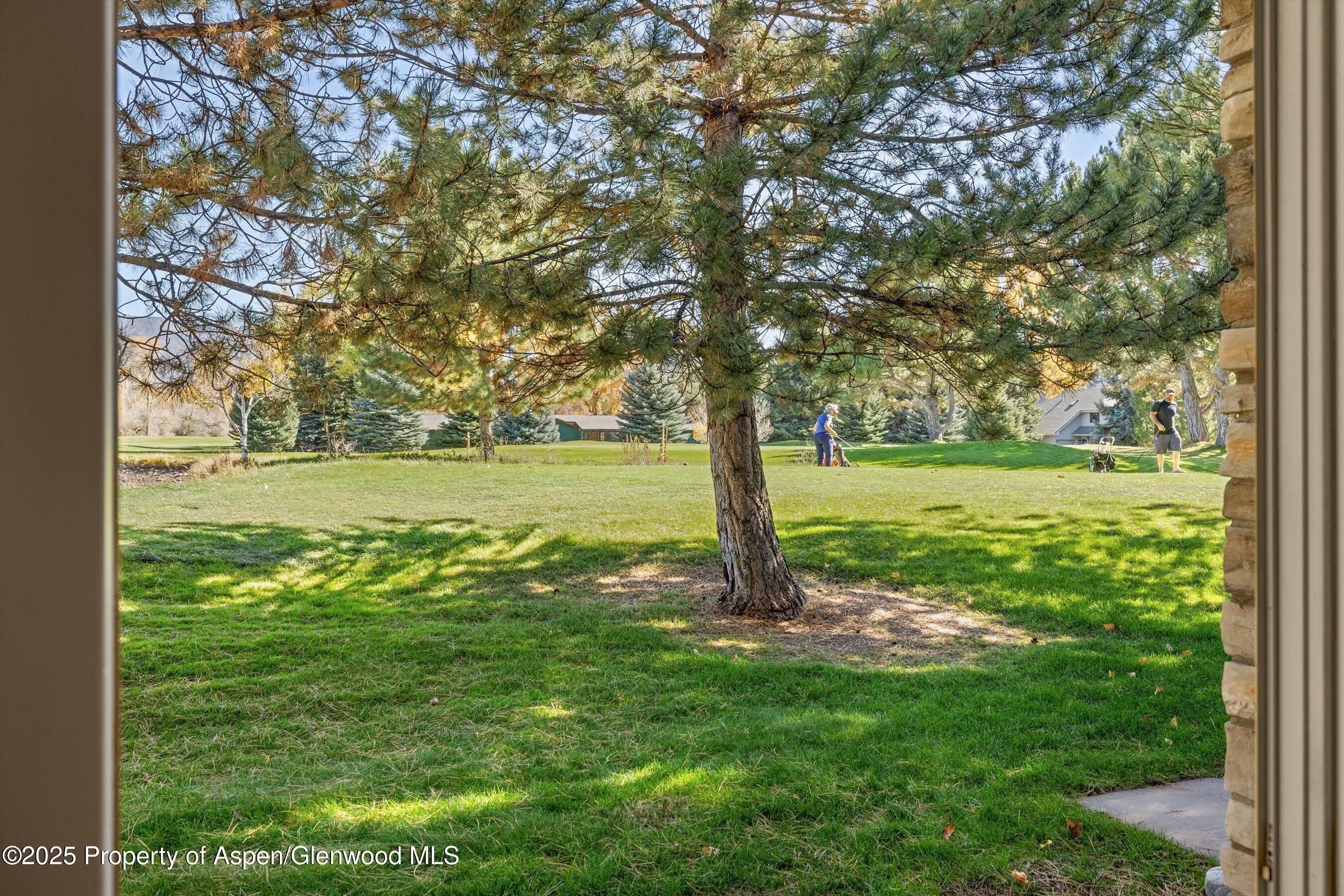 14913 Highway 82 Carbondale CO 81623