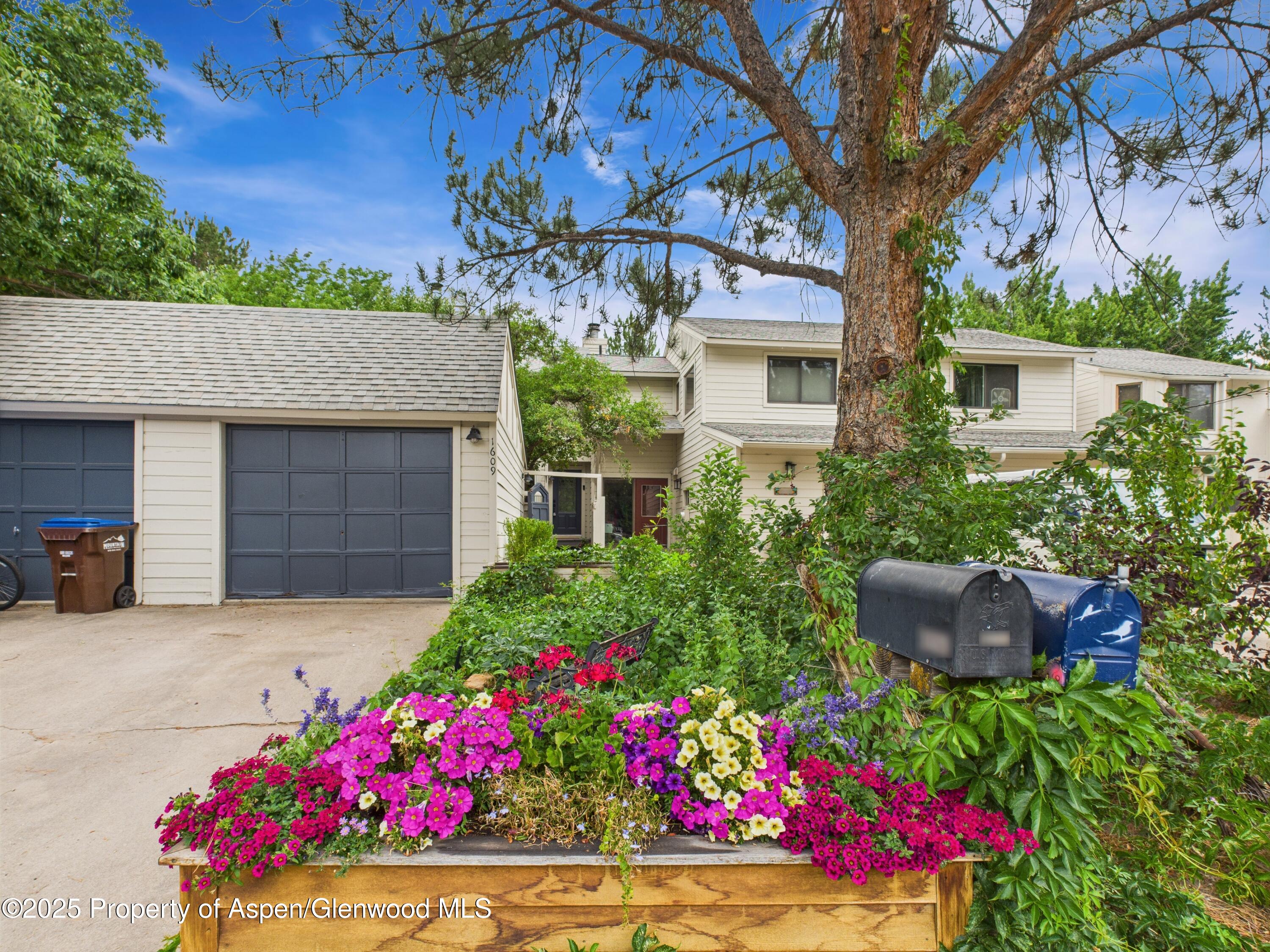 1609 Defiance Drive Carbondale CO 81623