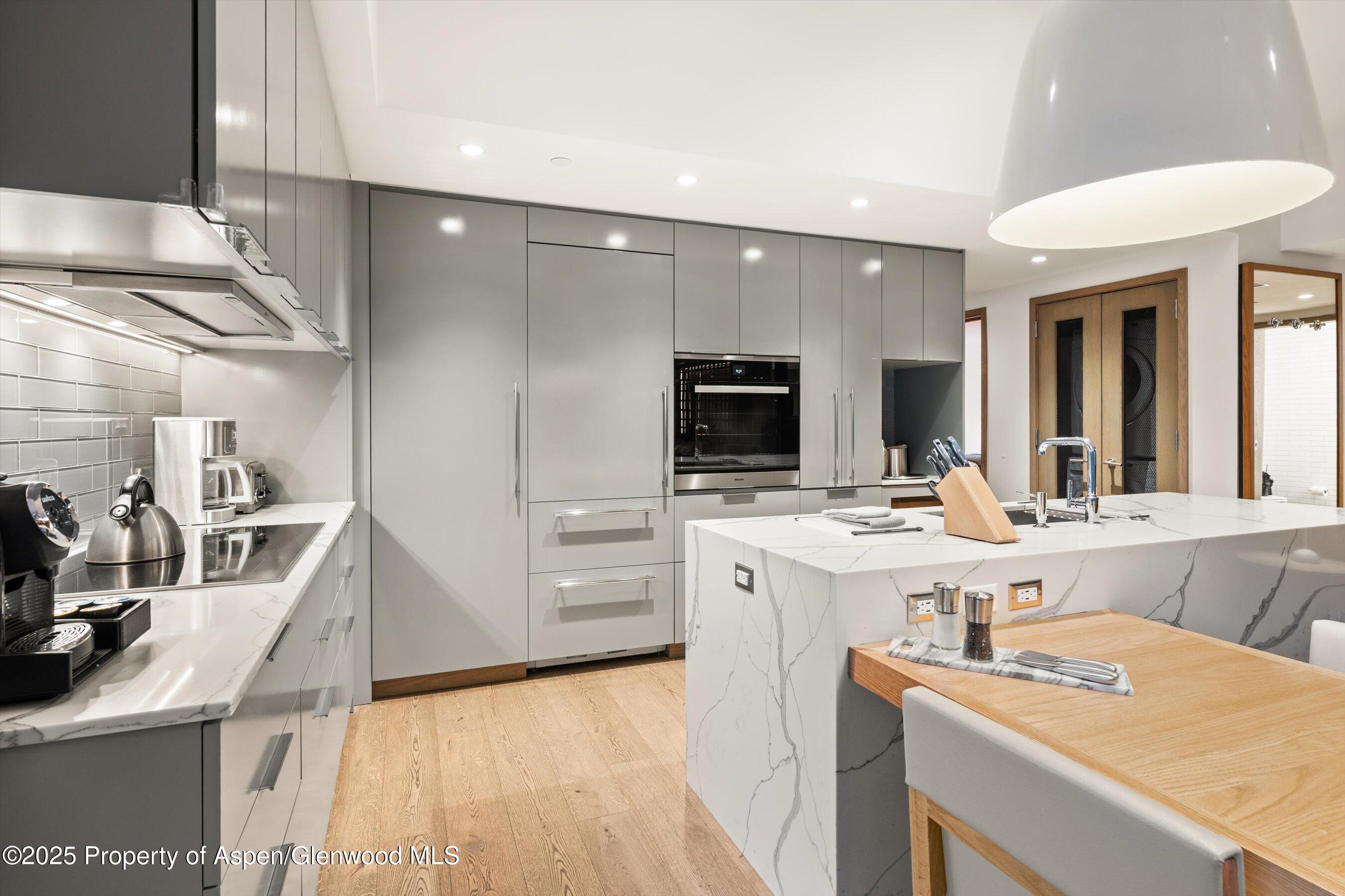 550 S Spring Street Aspen CO 81611