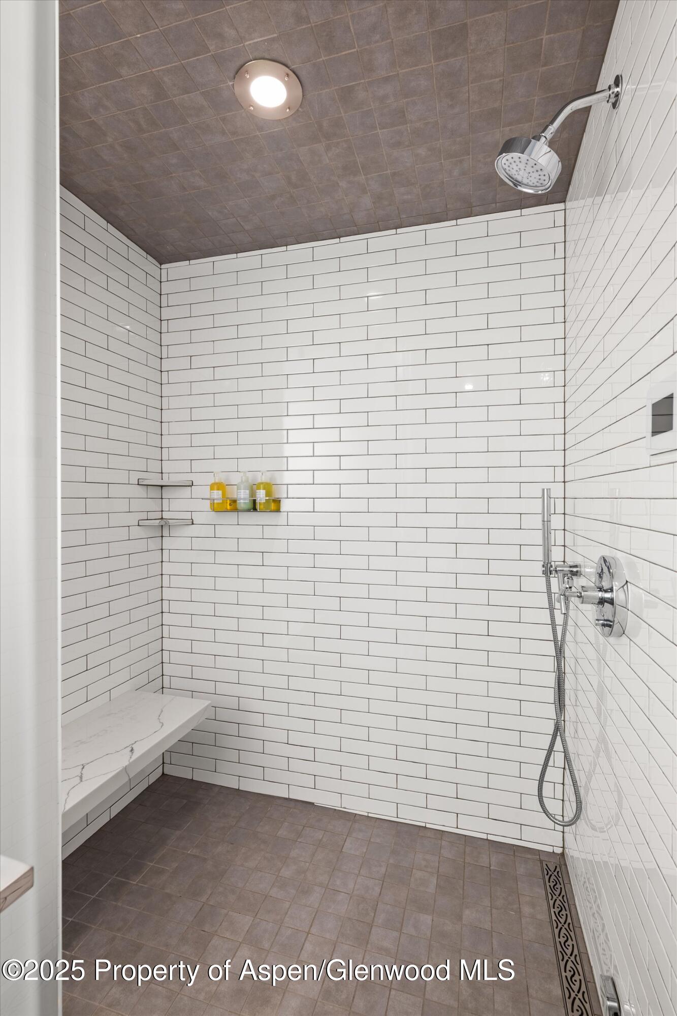 550 S Spring Street Aspen CO 81611