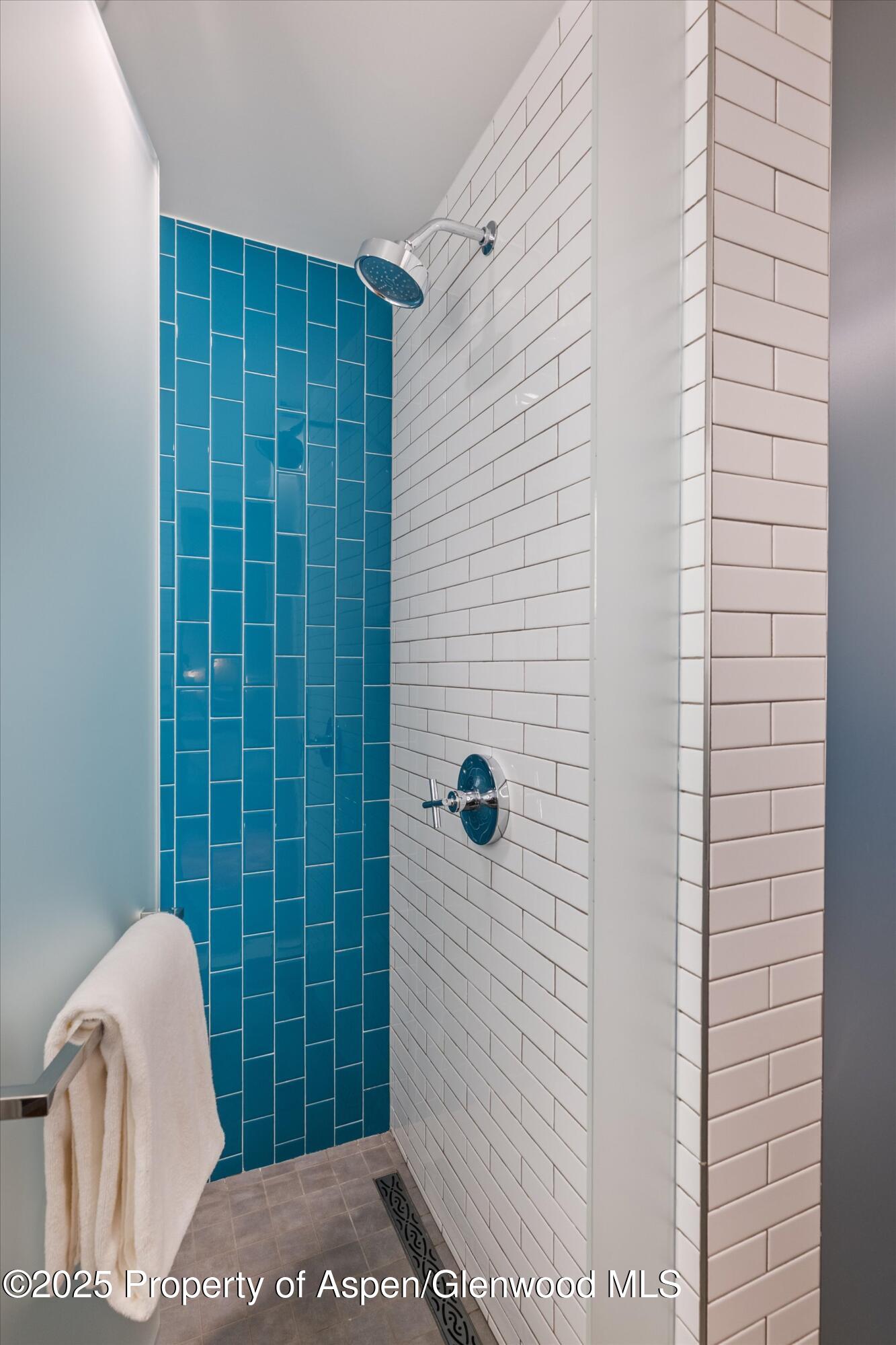 550 S Spring Street Aspen CO 81611