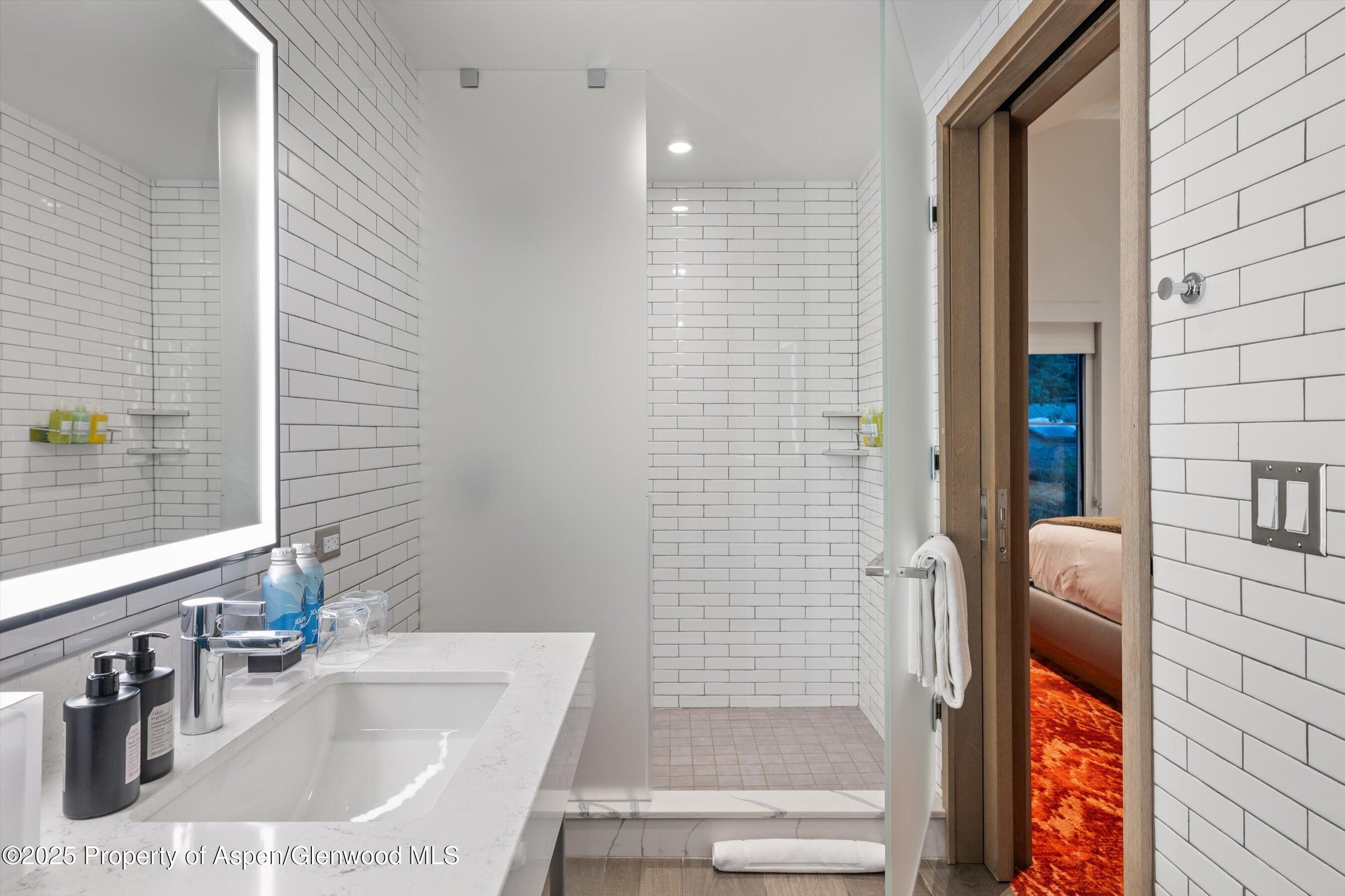 550 S Spring Street Aspen CO 81611