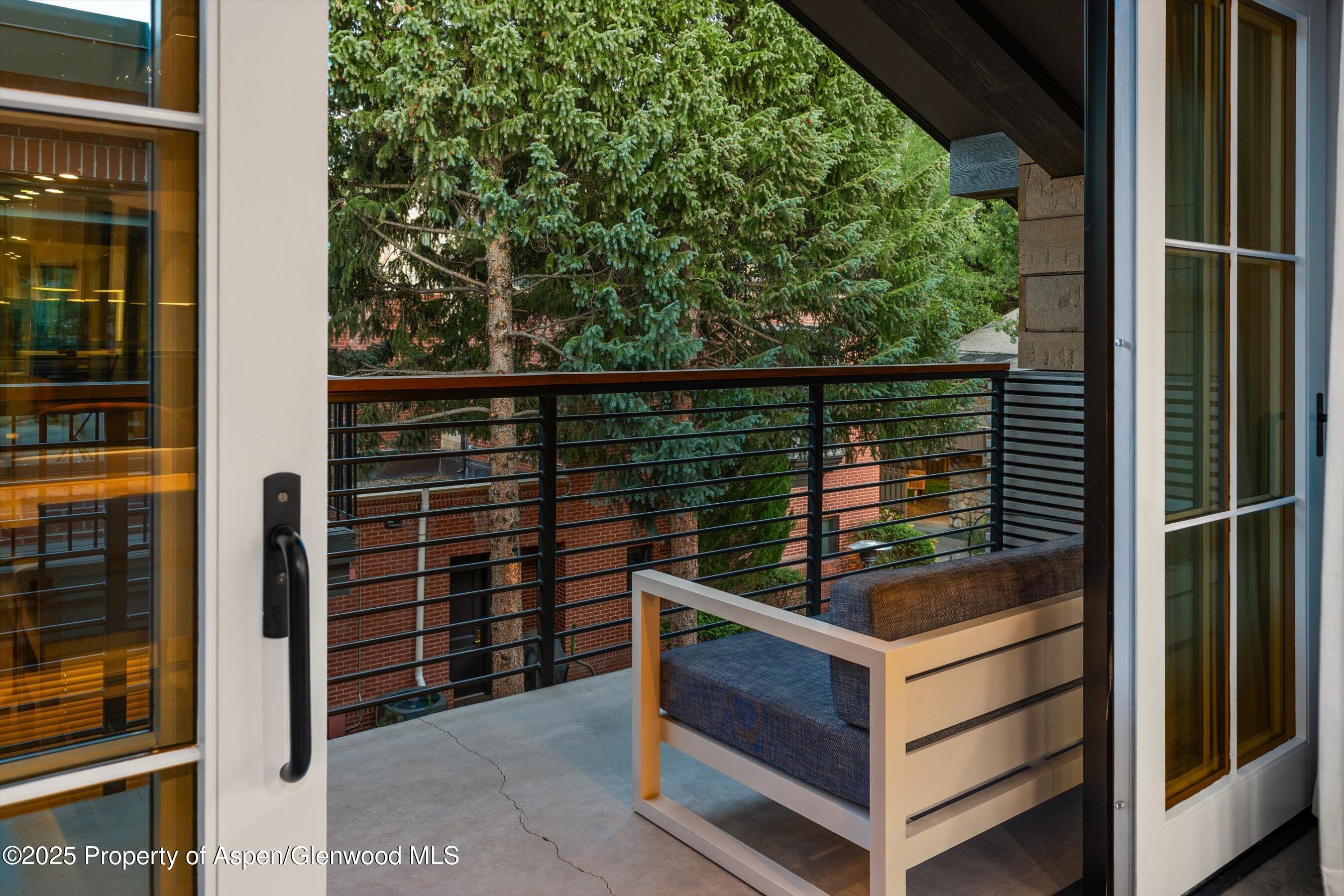 550 S Spring Street Aspen CO 81611