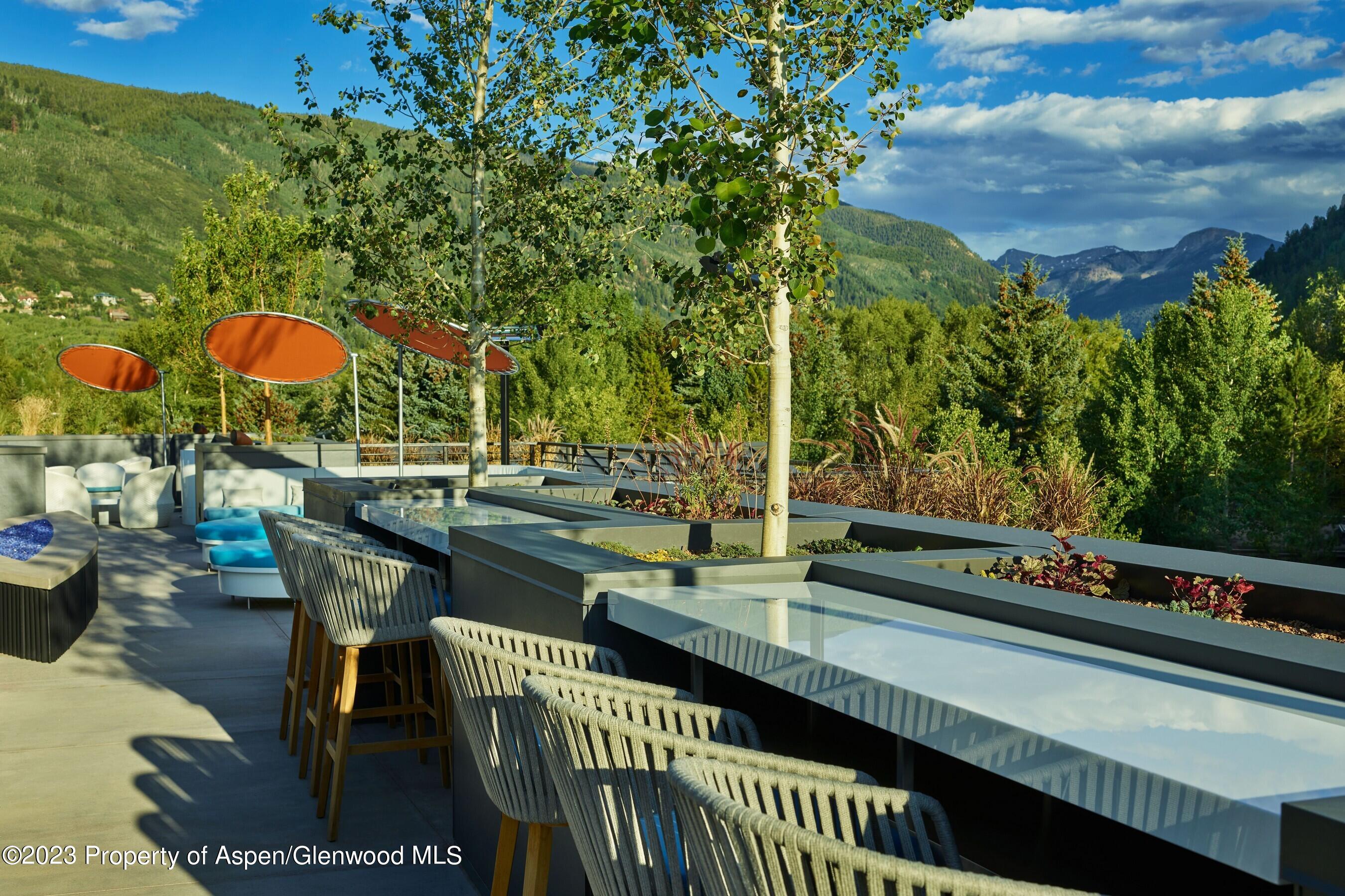 550 S Spring Street Aspen CO 81611