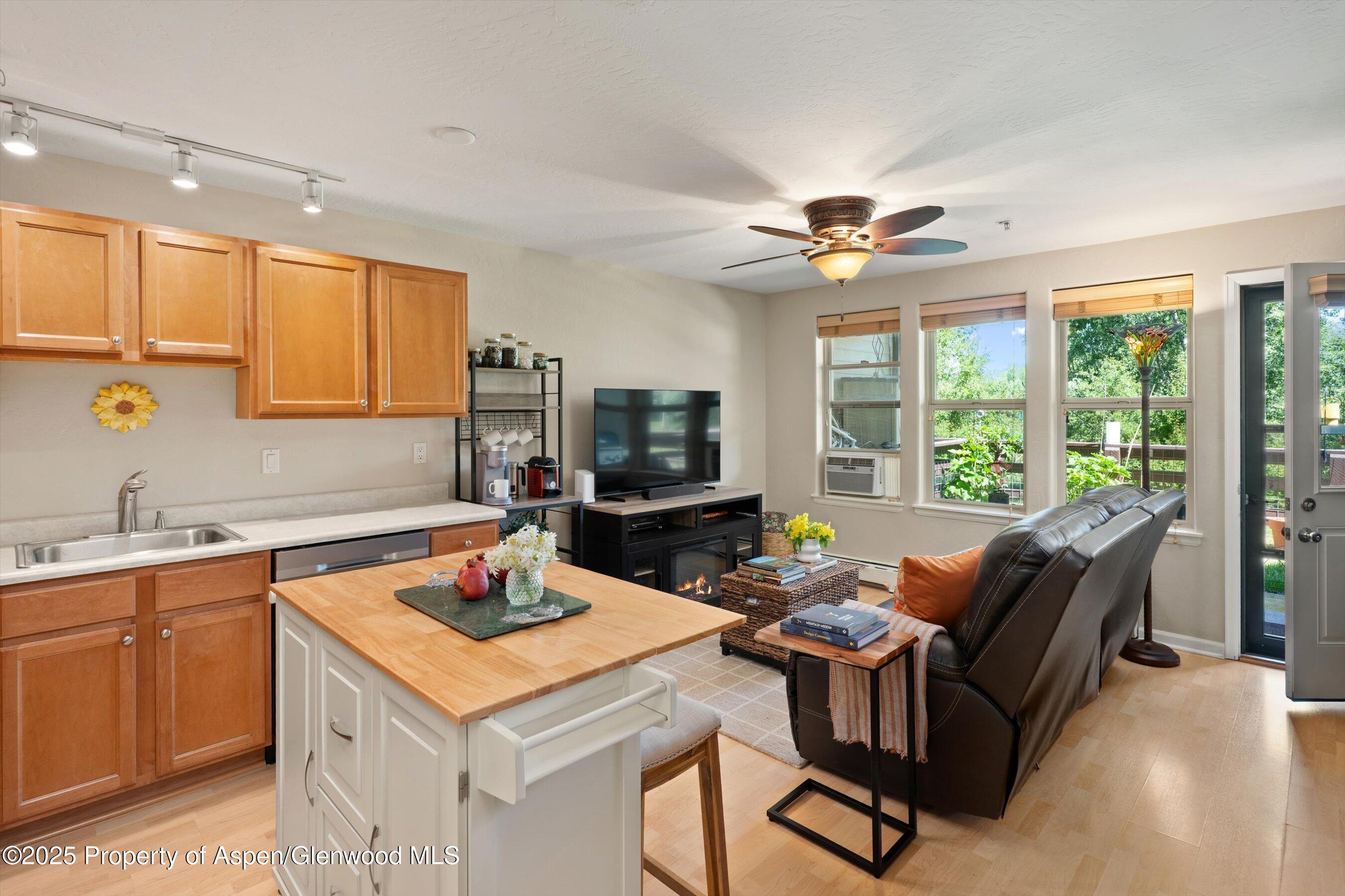 512 Lakeside Drive Basalt CO 81621