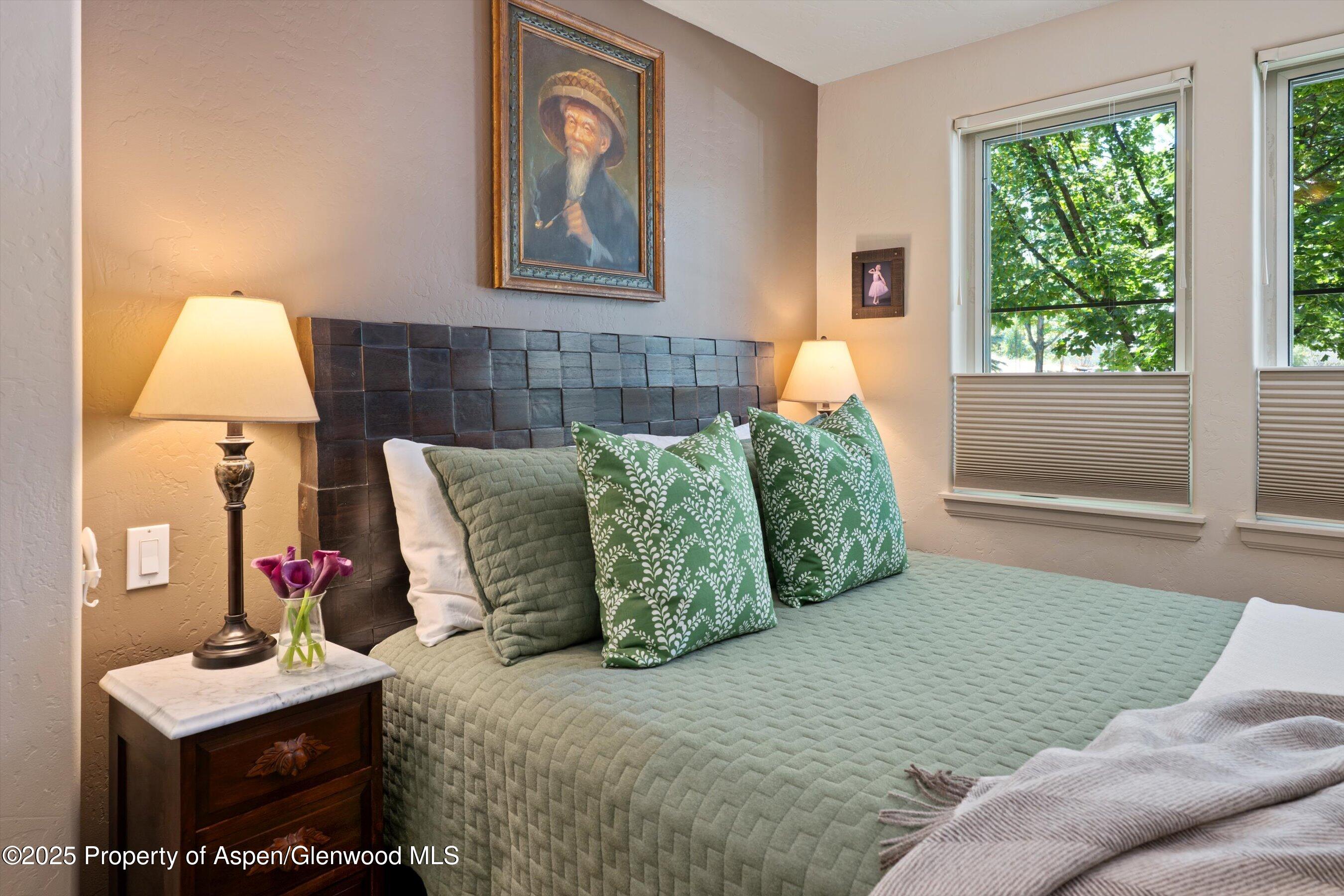 512 Lakeside Drive Basalt CO 81621