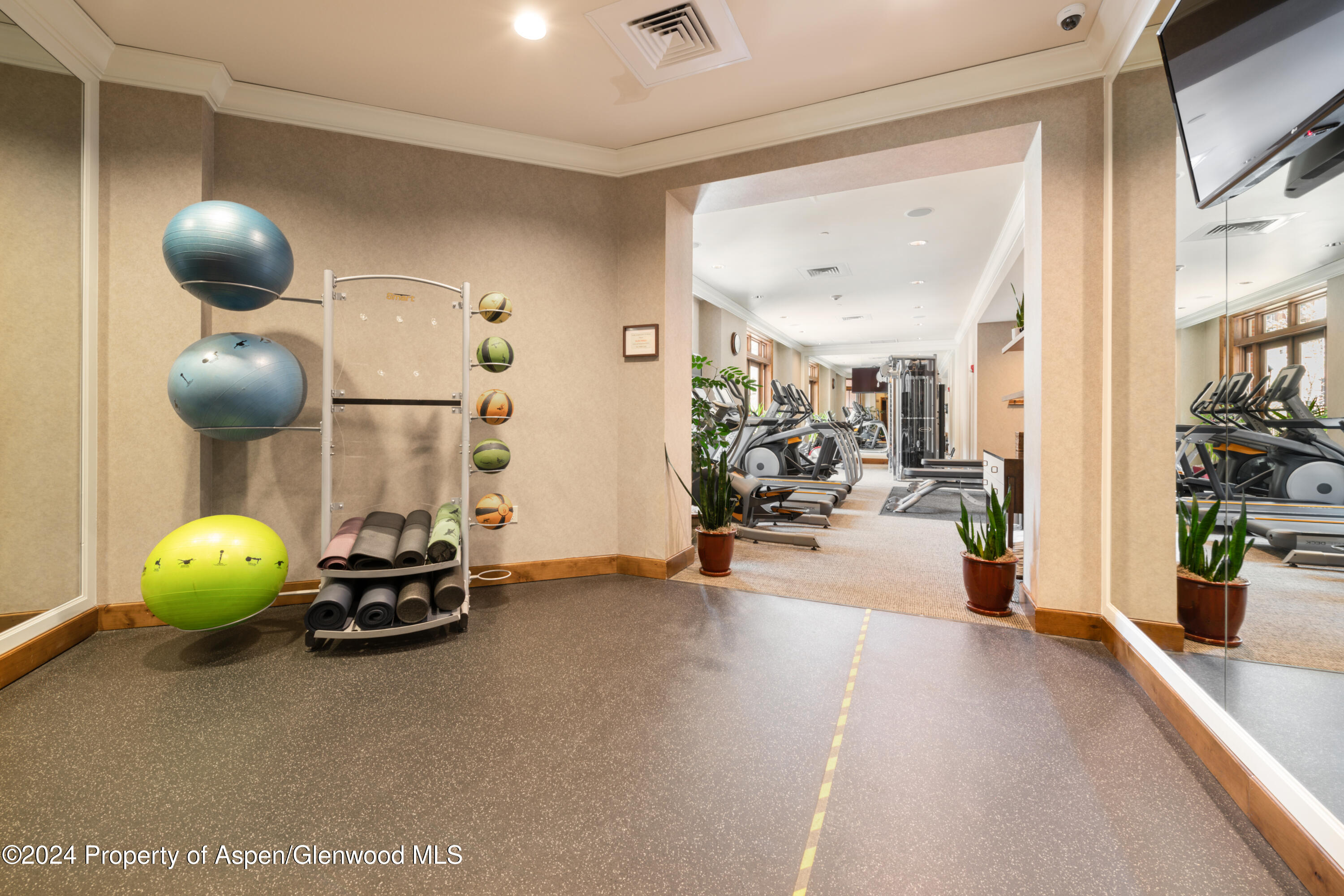 415 E Dean Street Aspen CO 81611