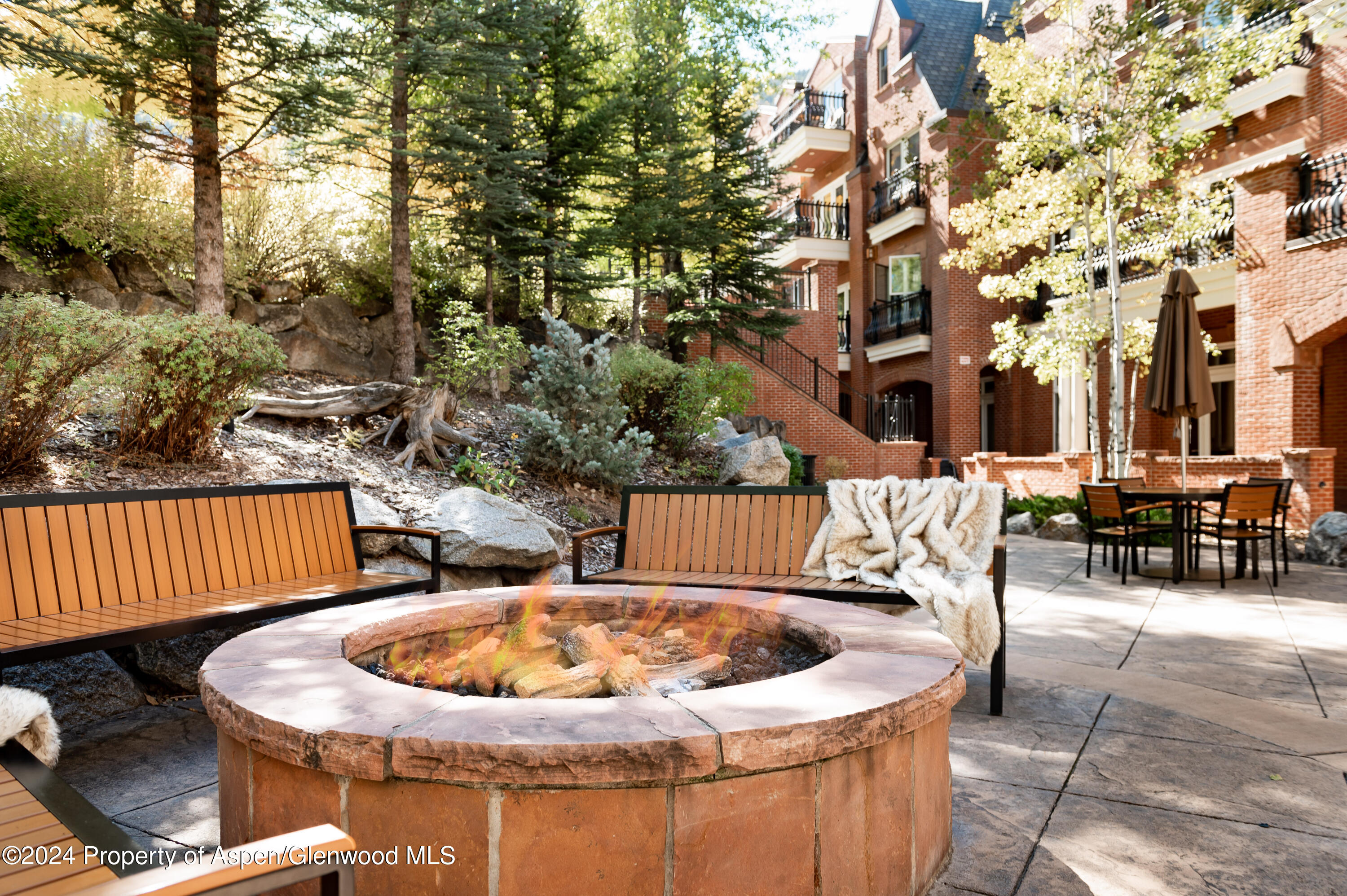 415 E Dean Street Aspen CO 81611