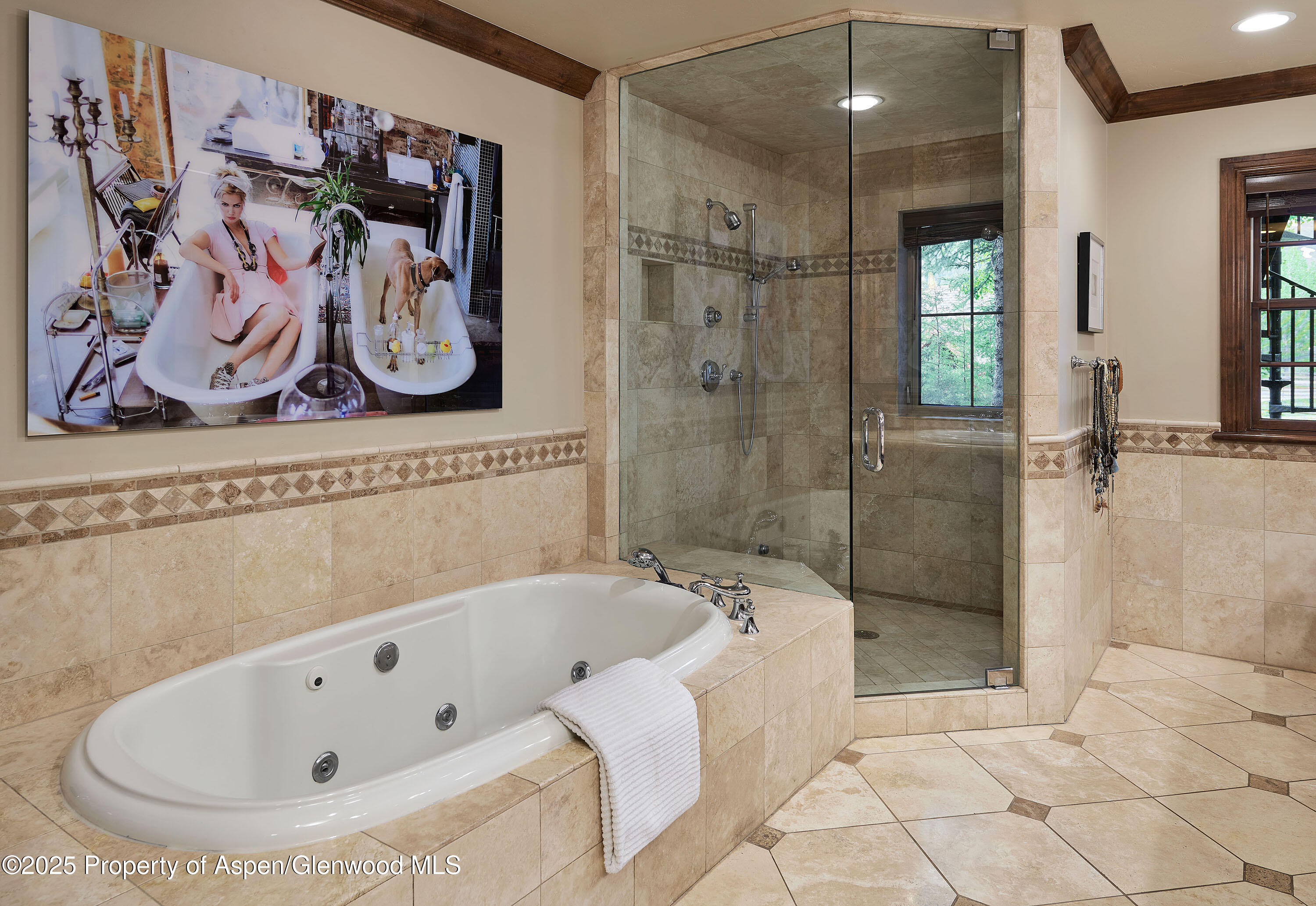 611 Oregon Trail Aspen CO 81611