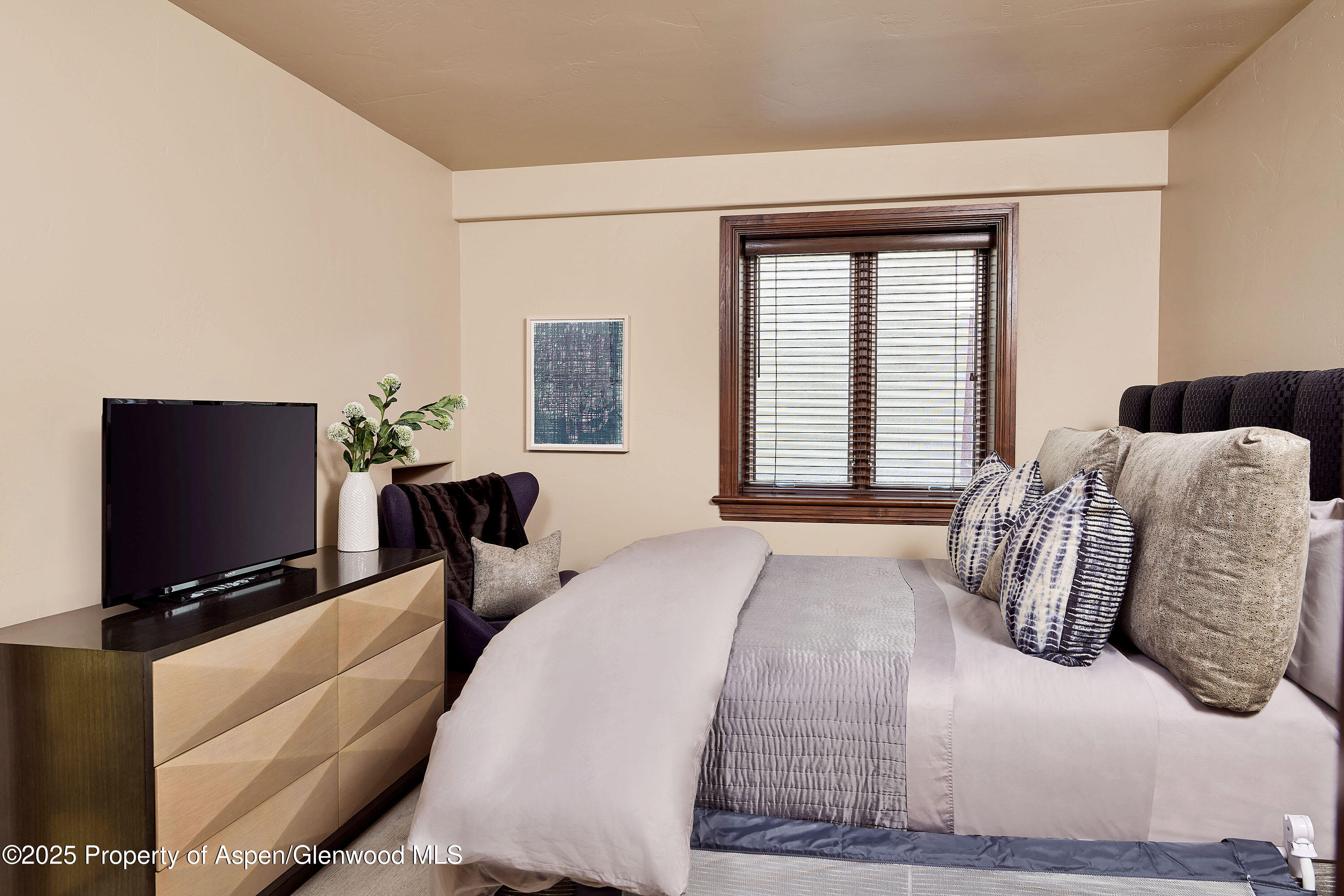 611 Oregon Trail Aspen CO 81611