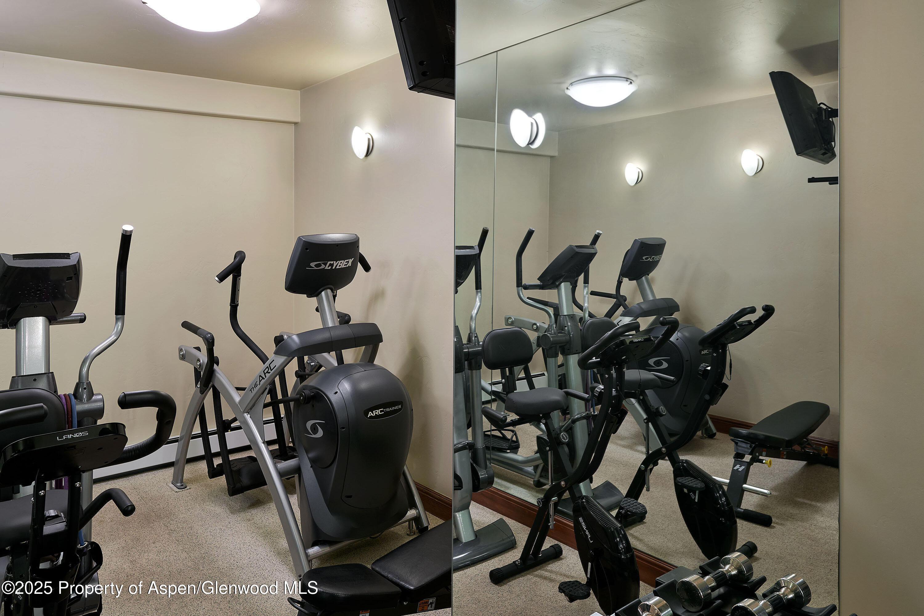 611 Oregon Trail Aspen CO 81611