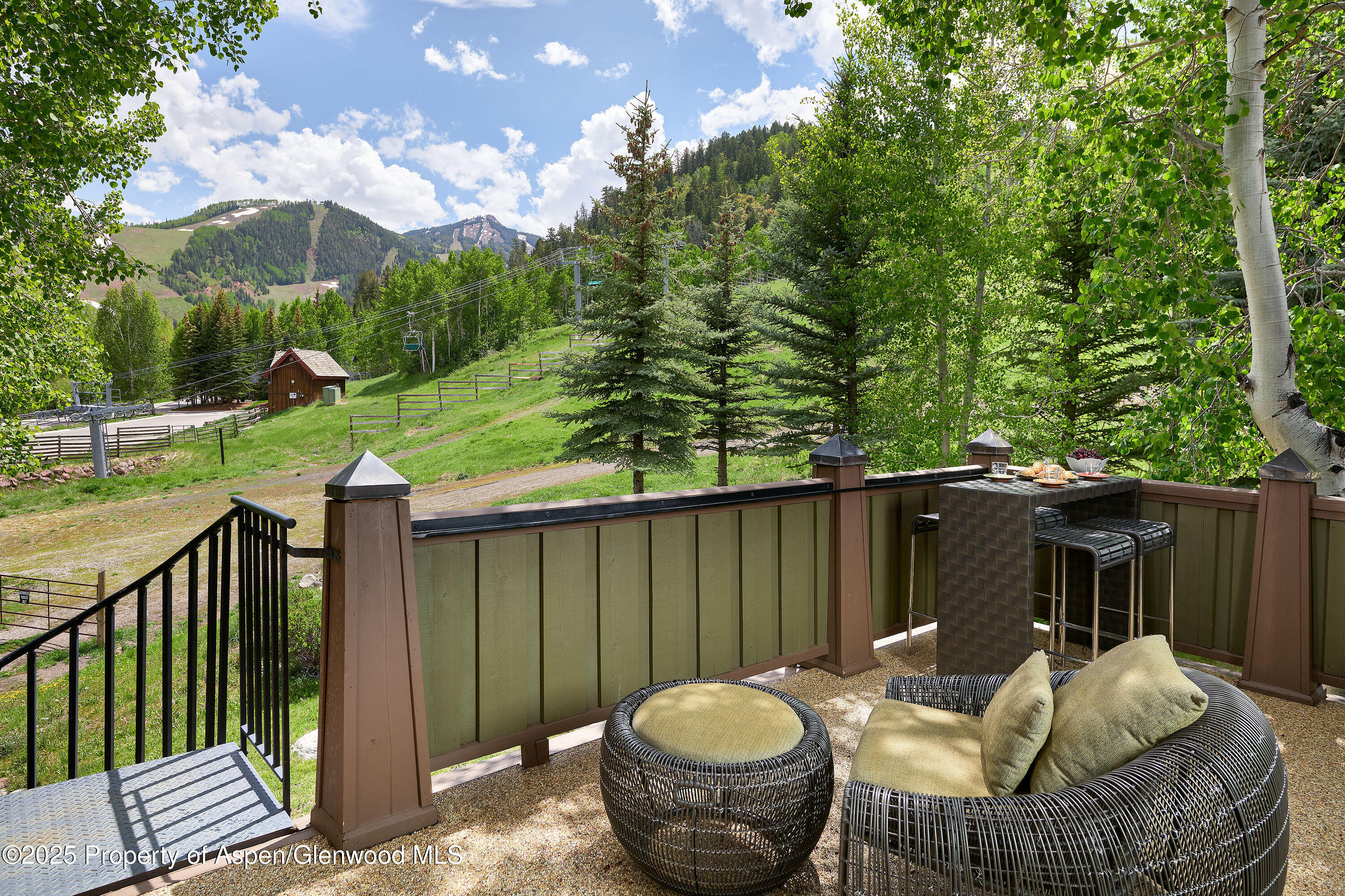 611 Oregon Trail Aspen CO 81611