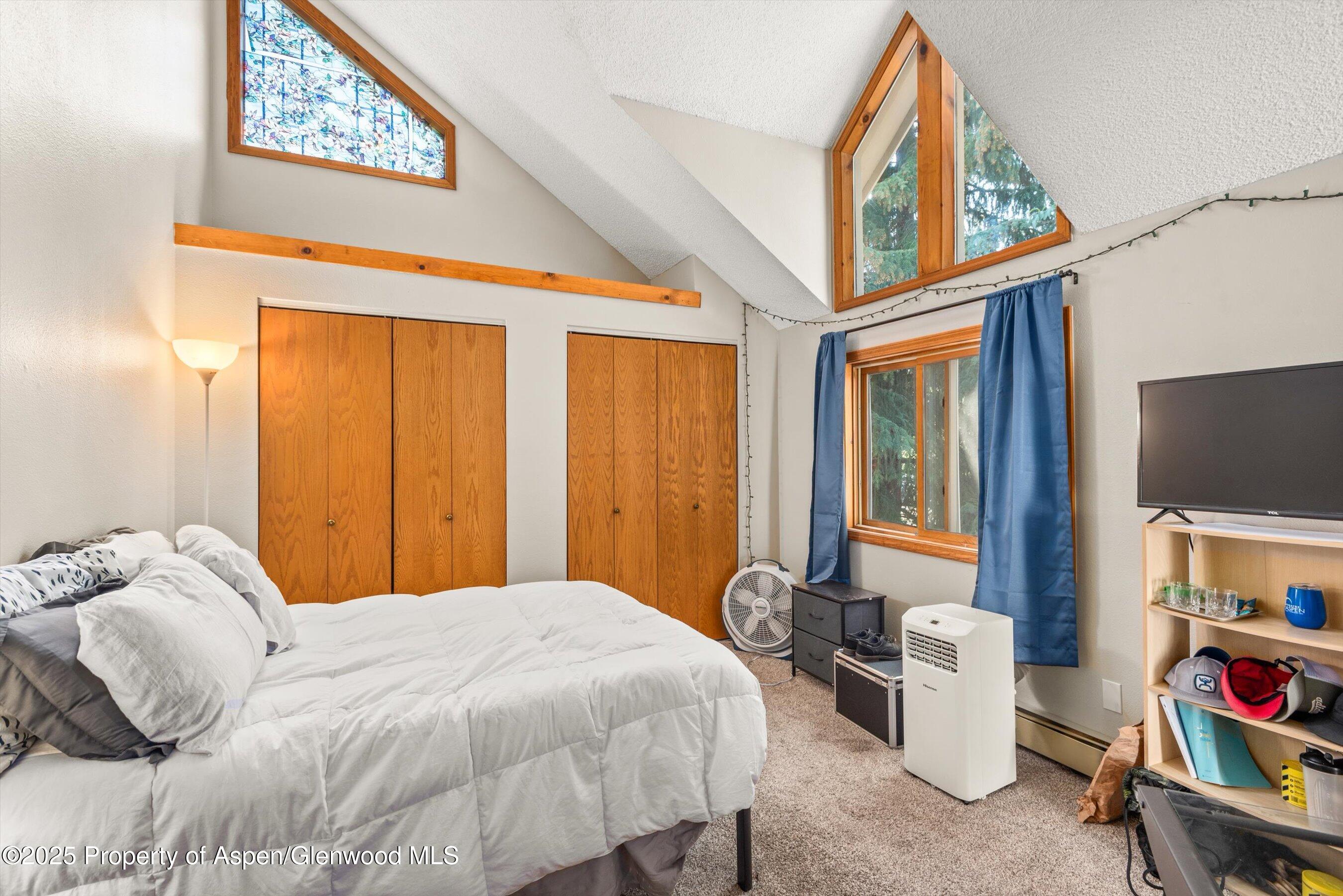 152 Wren Court Basalt CO 81621