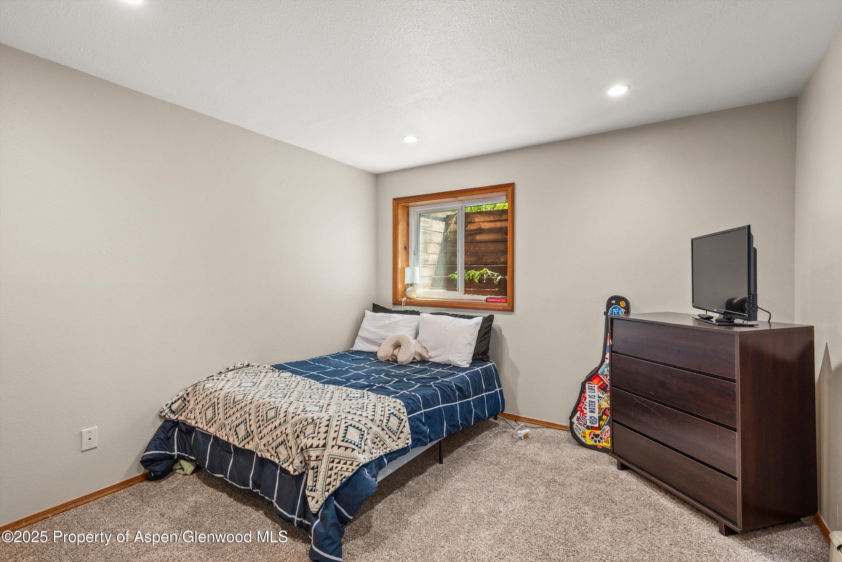 152 Wren Court Basalt CO 81621