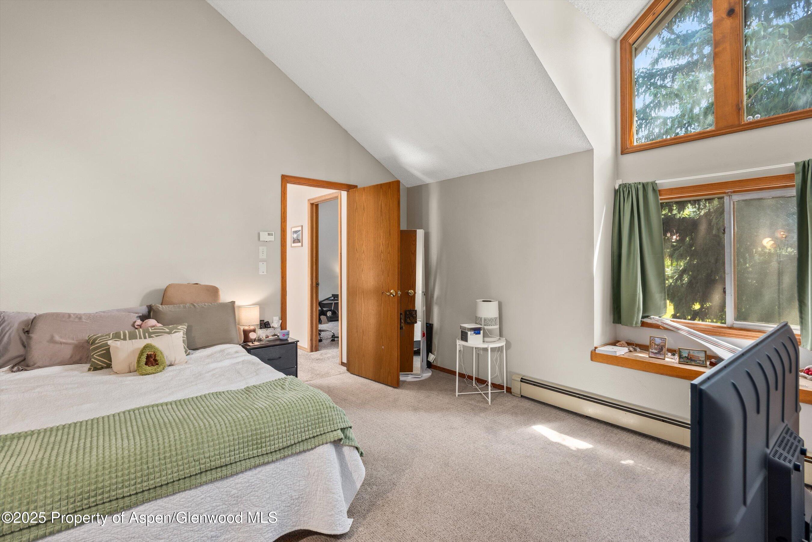 152 Wren Court Basalt CO 81621