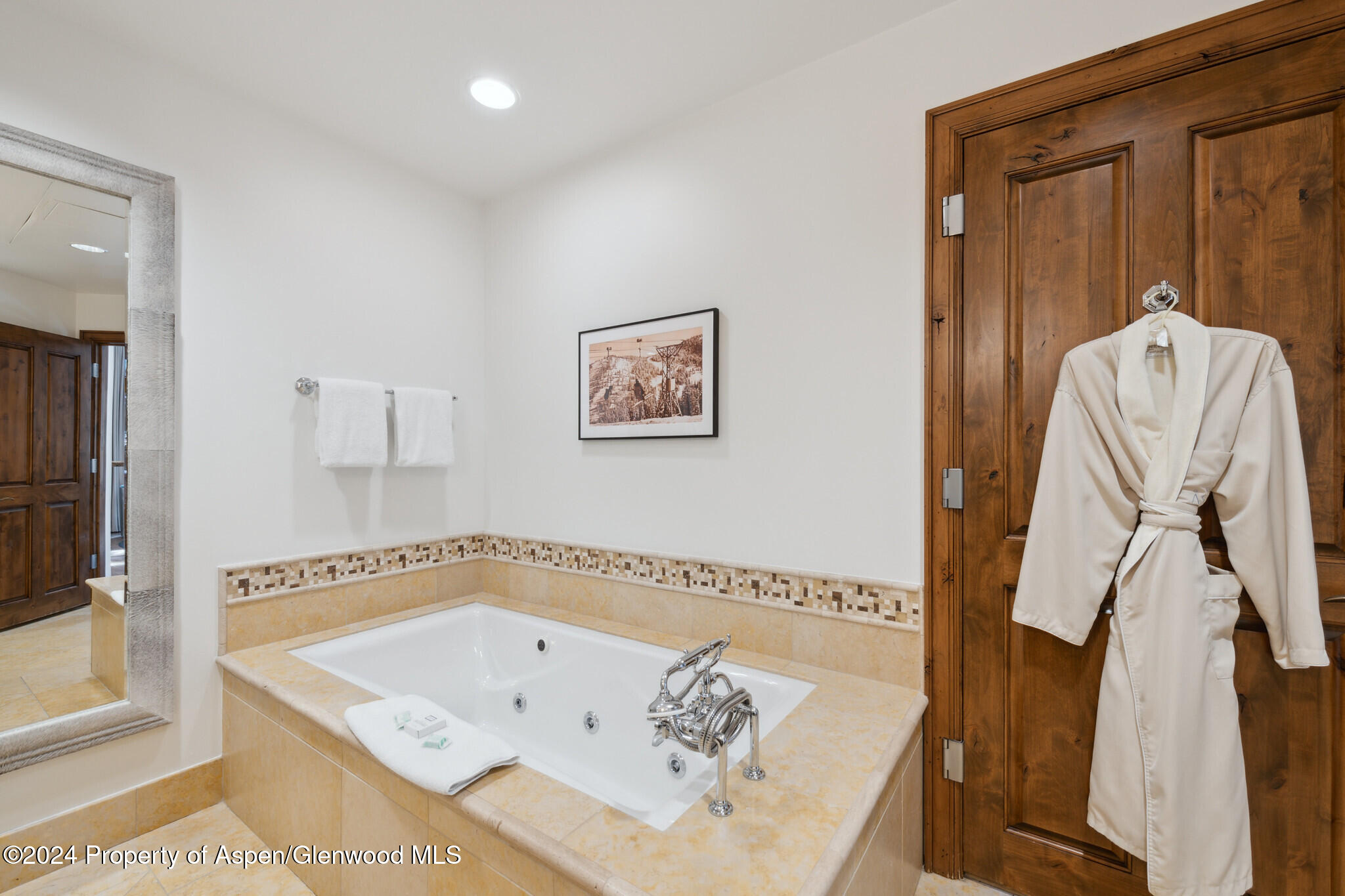 415 E Dean Street, Unit 3 Week 11 Aspen CO 81611