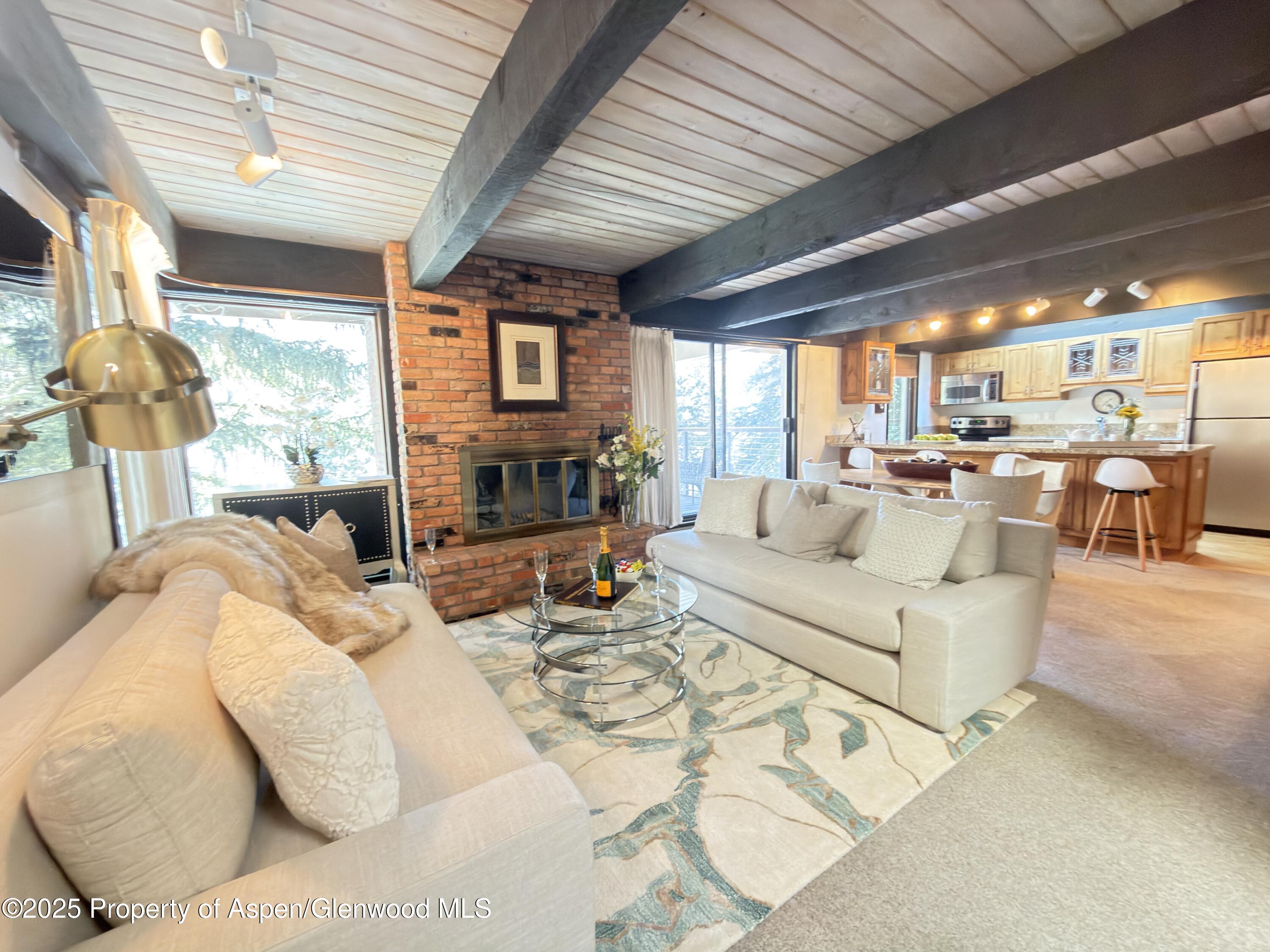 Aspen CO, 1034 E Cooper Avenue, Unit 19