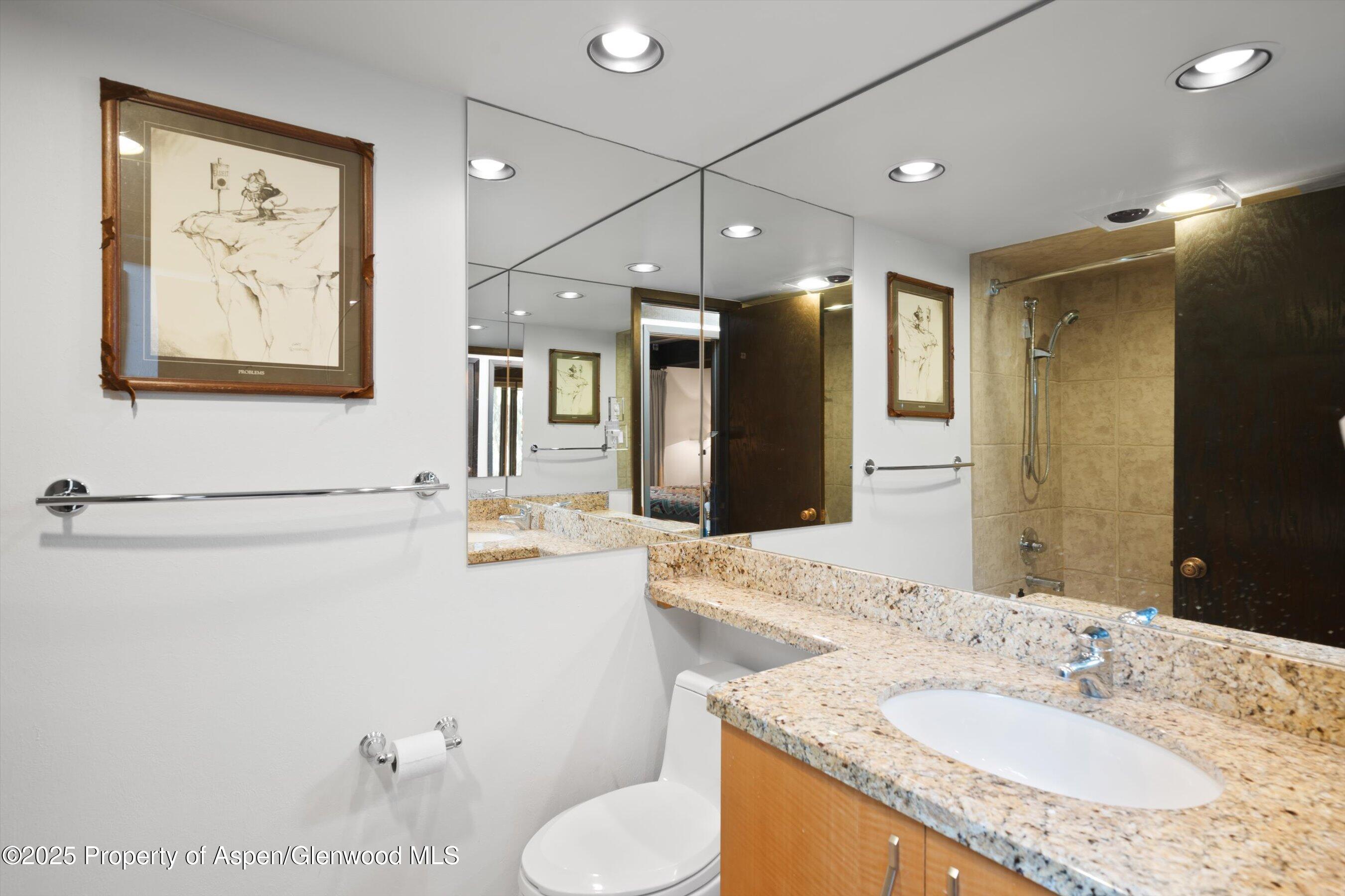 1034 E Cooper Avenue Aspen CO 81611