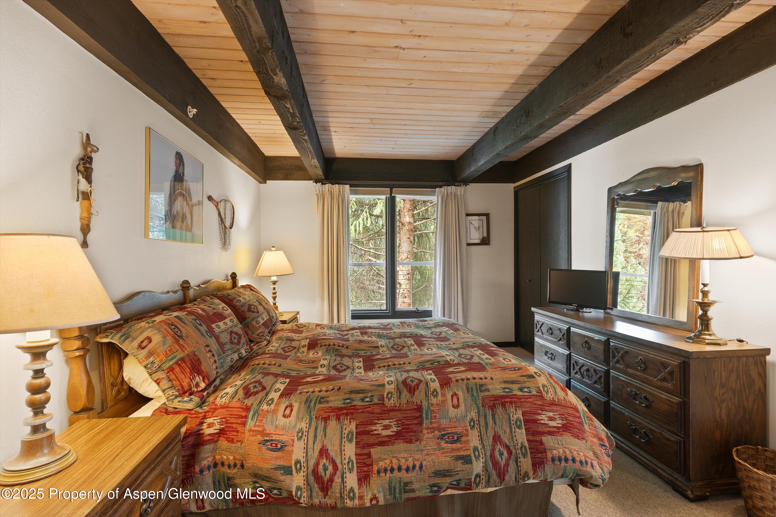 1034 E Cooper Avenue Aspen CO 81611