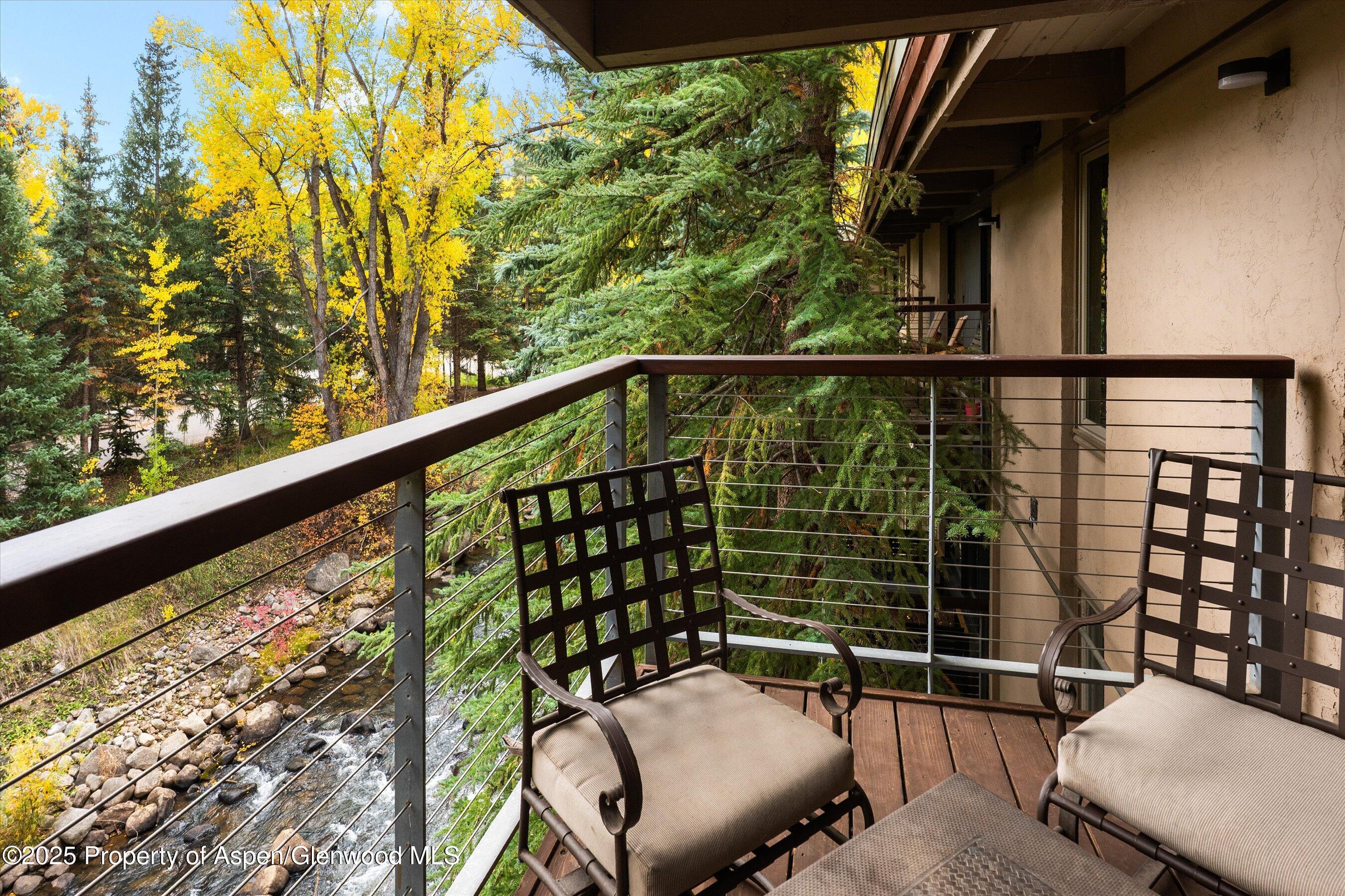 1034 E Cooper Avenue Aspen CO 81611