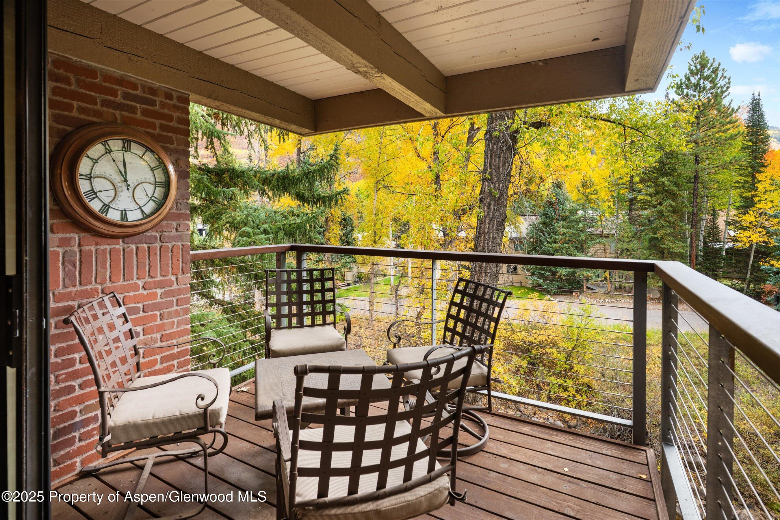 1034 E Cooper Avenue Aspen CO 81611