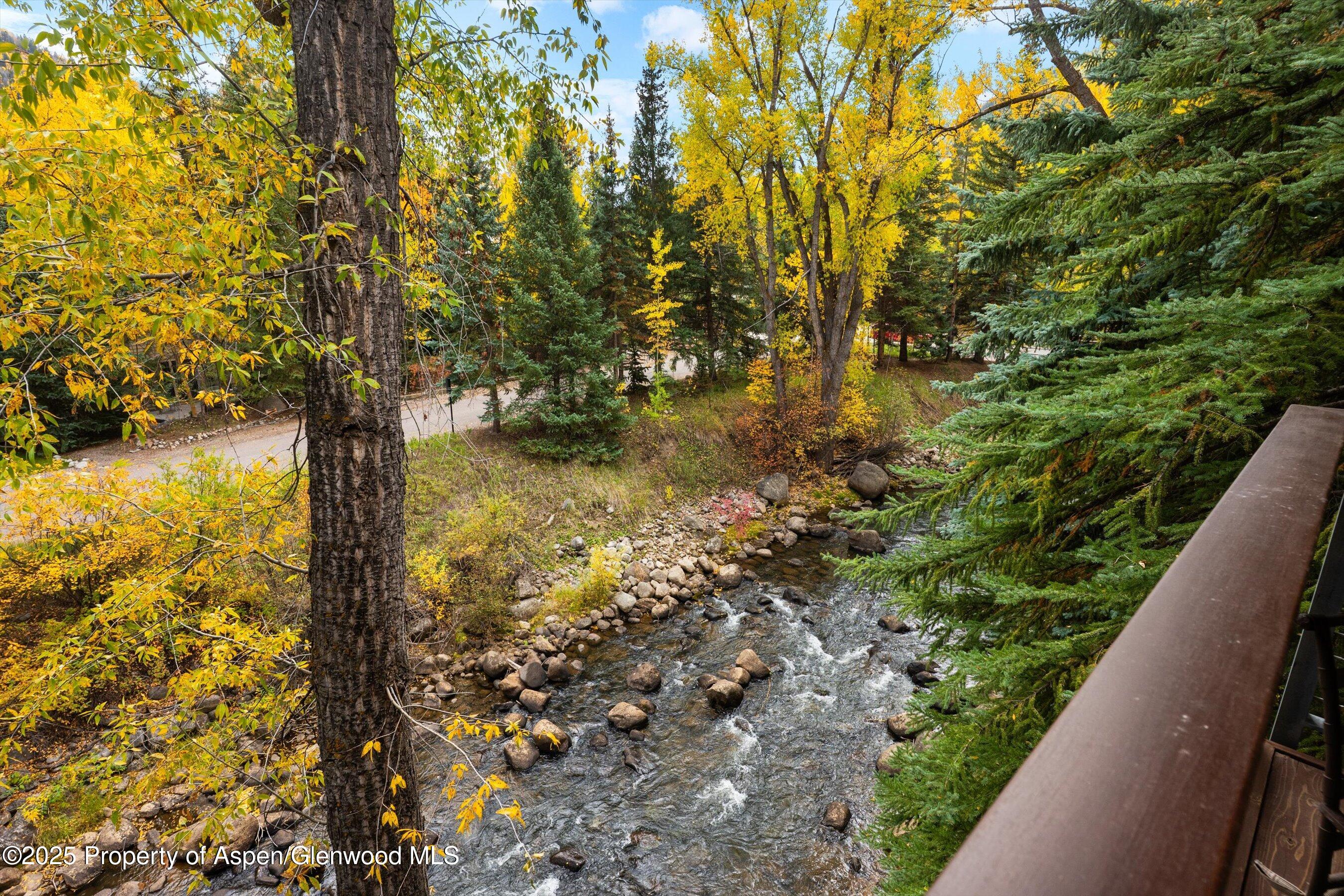 1034 E Cooper Avenue Aspen CO 81611