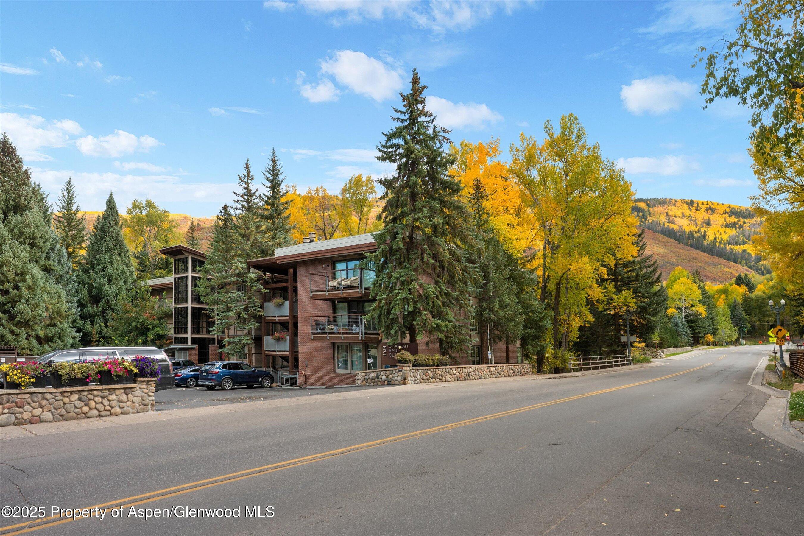 1034 E Cooper Avenue Aspen CO 81611