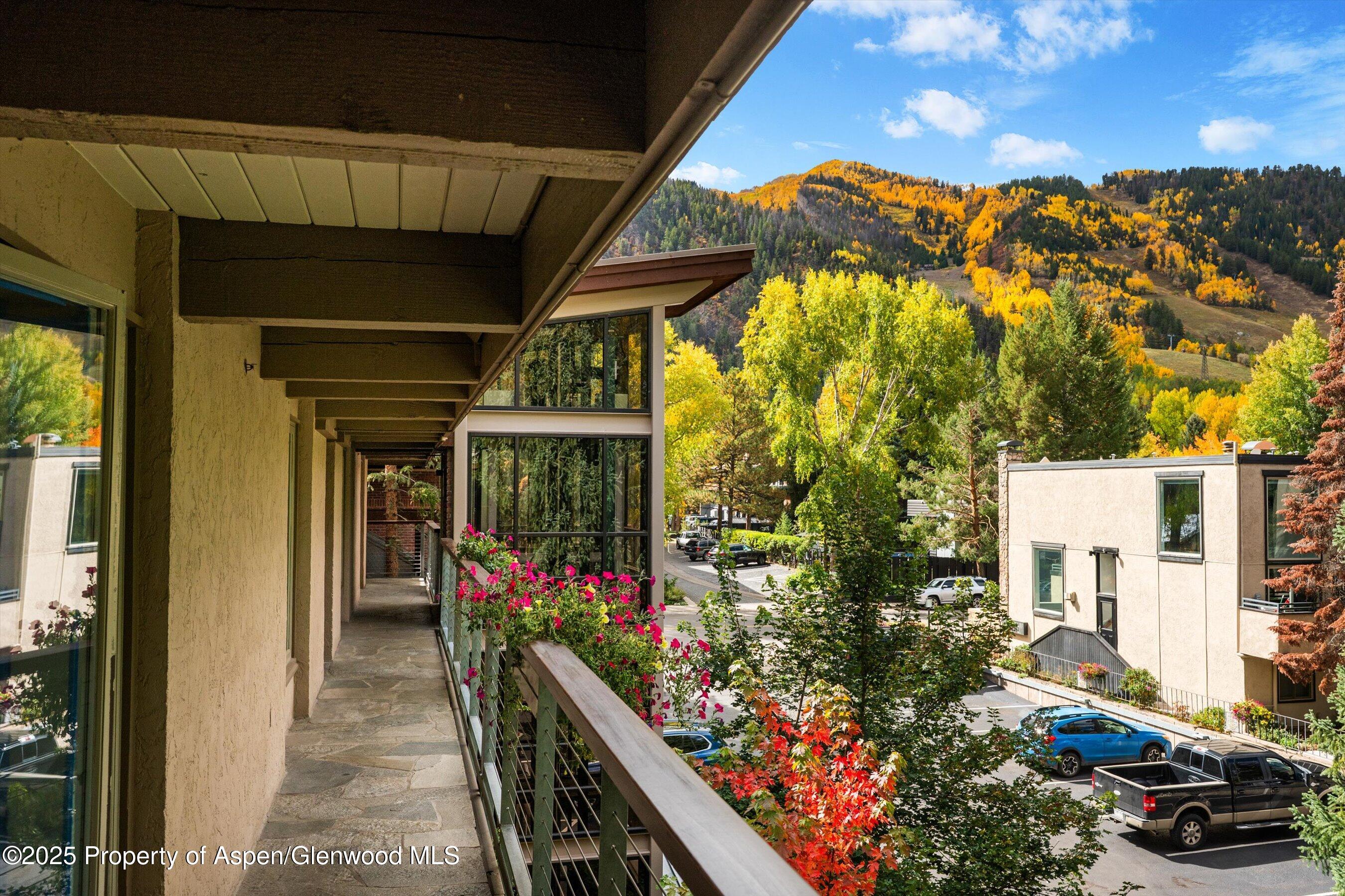 1034 E Cooper Avenue Aspen CO 81611