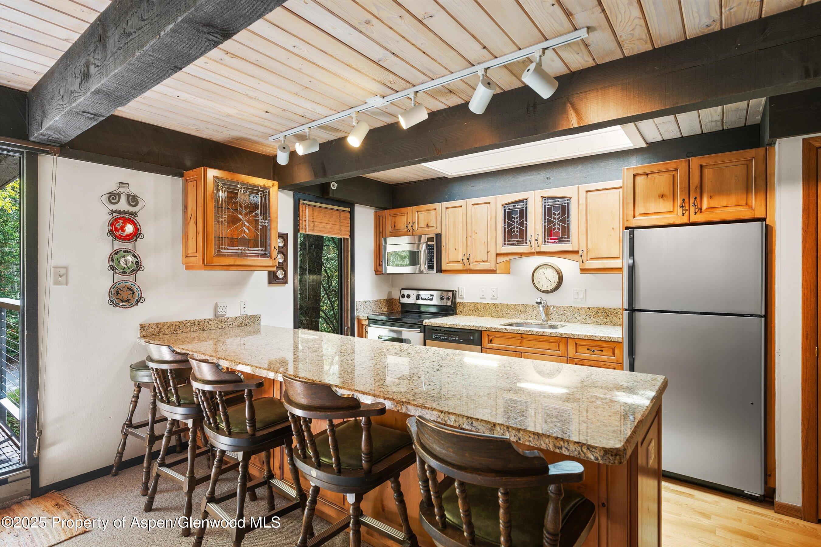 1034 E Cooper Avenue Aspen CO 81611