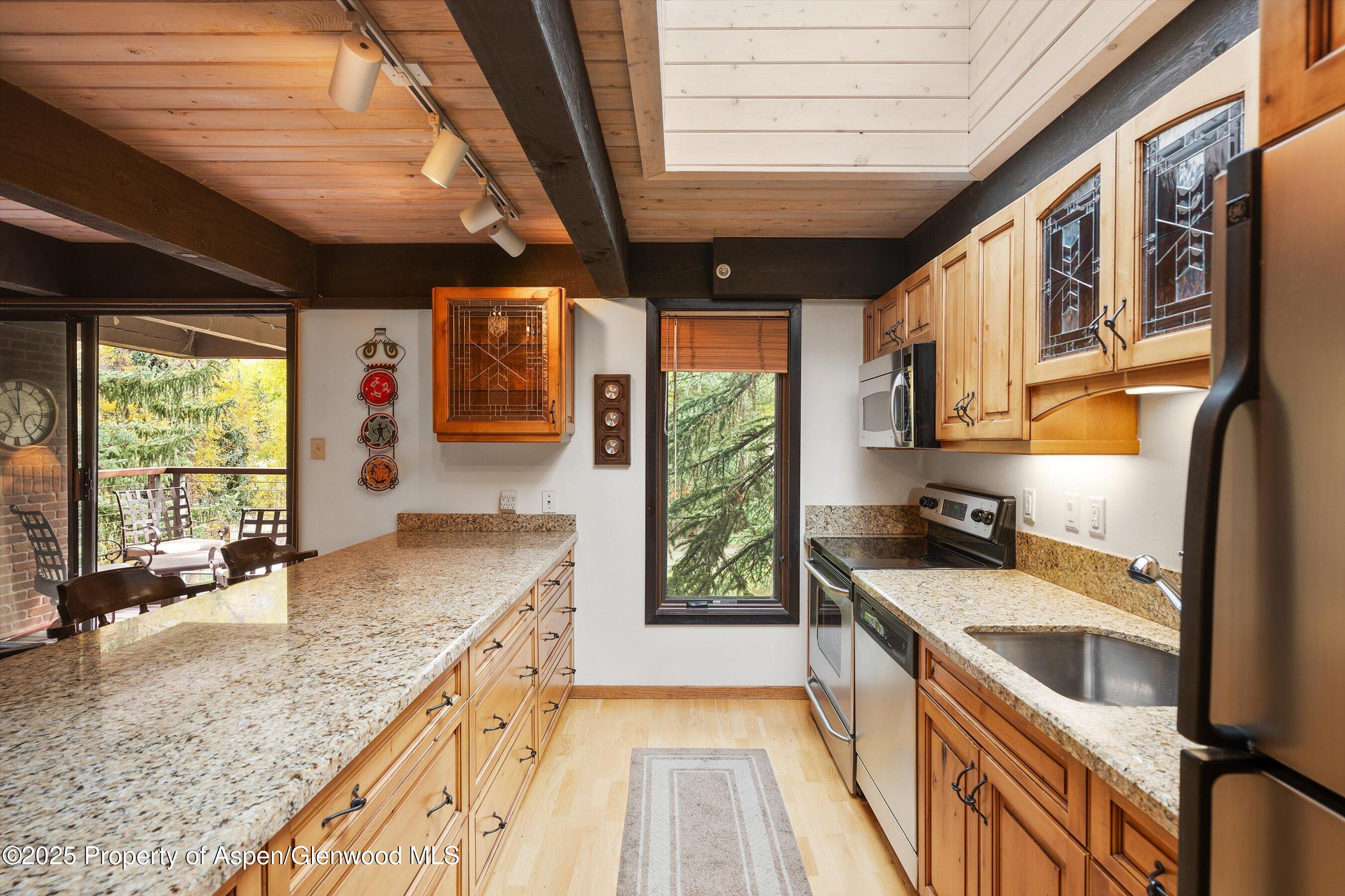 1034 E Cooper Avenue Aspen CO 81611