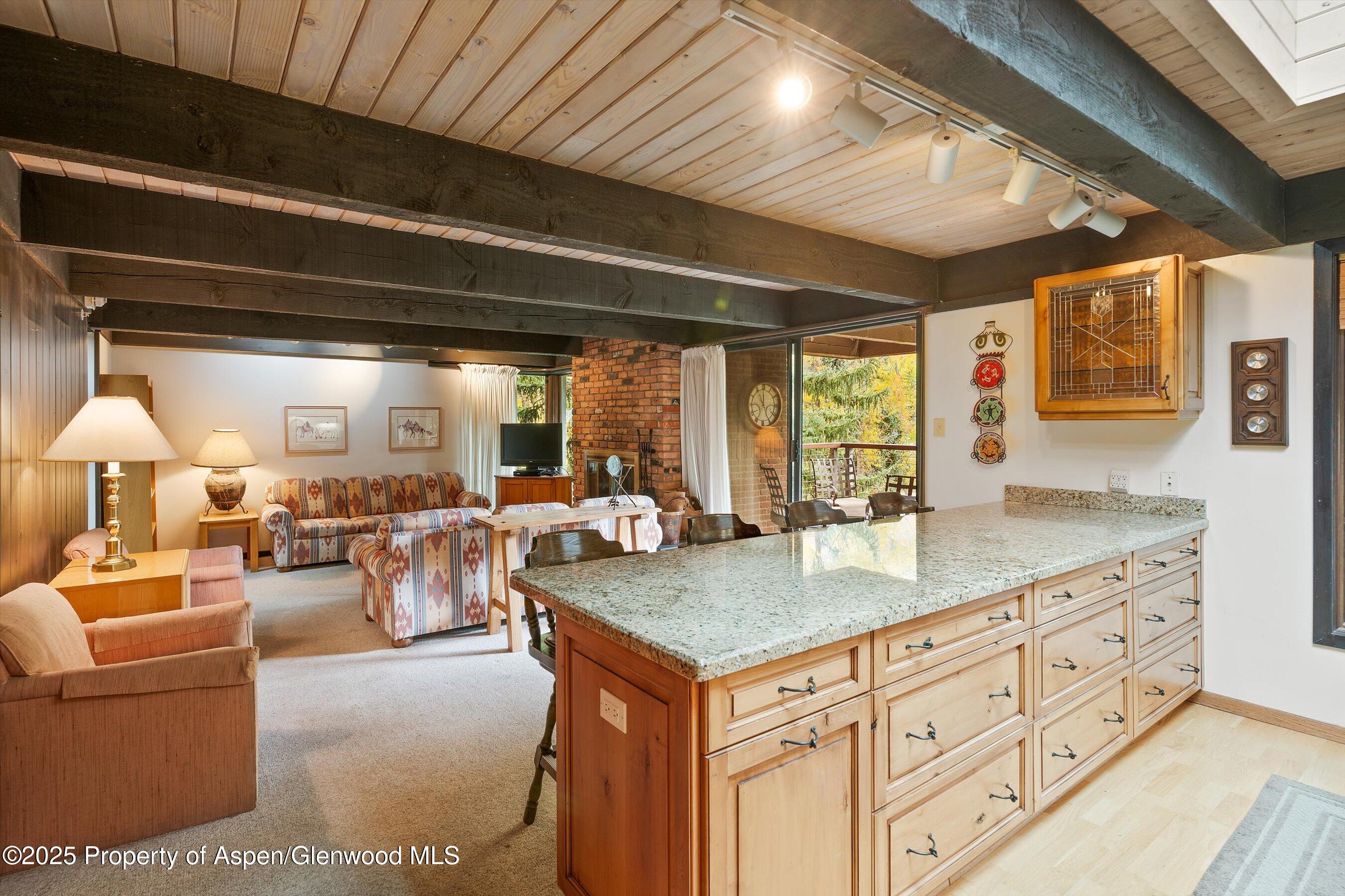 1034 E Cooper Avenue Aspen CO 81611