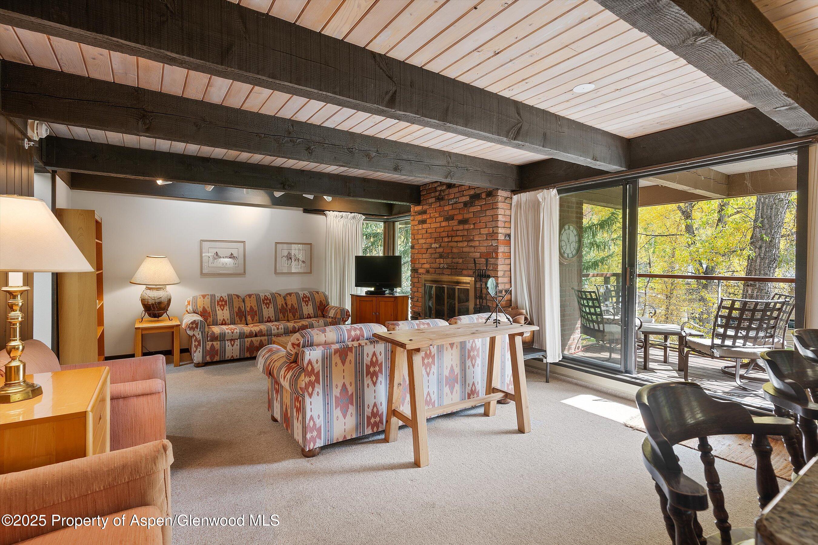 1034 E Cooper Avenue Aspen CO 81611