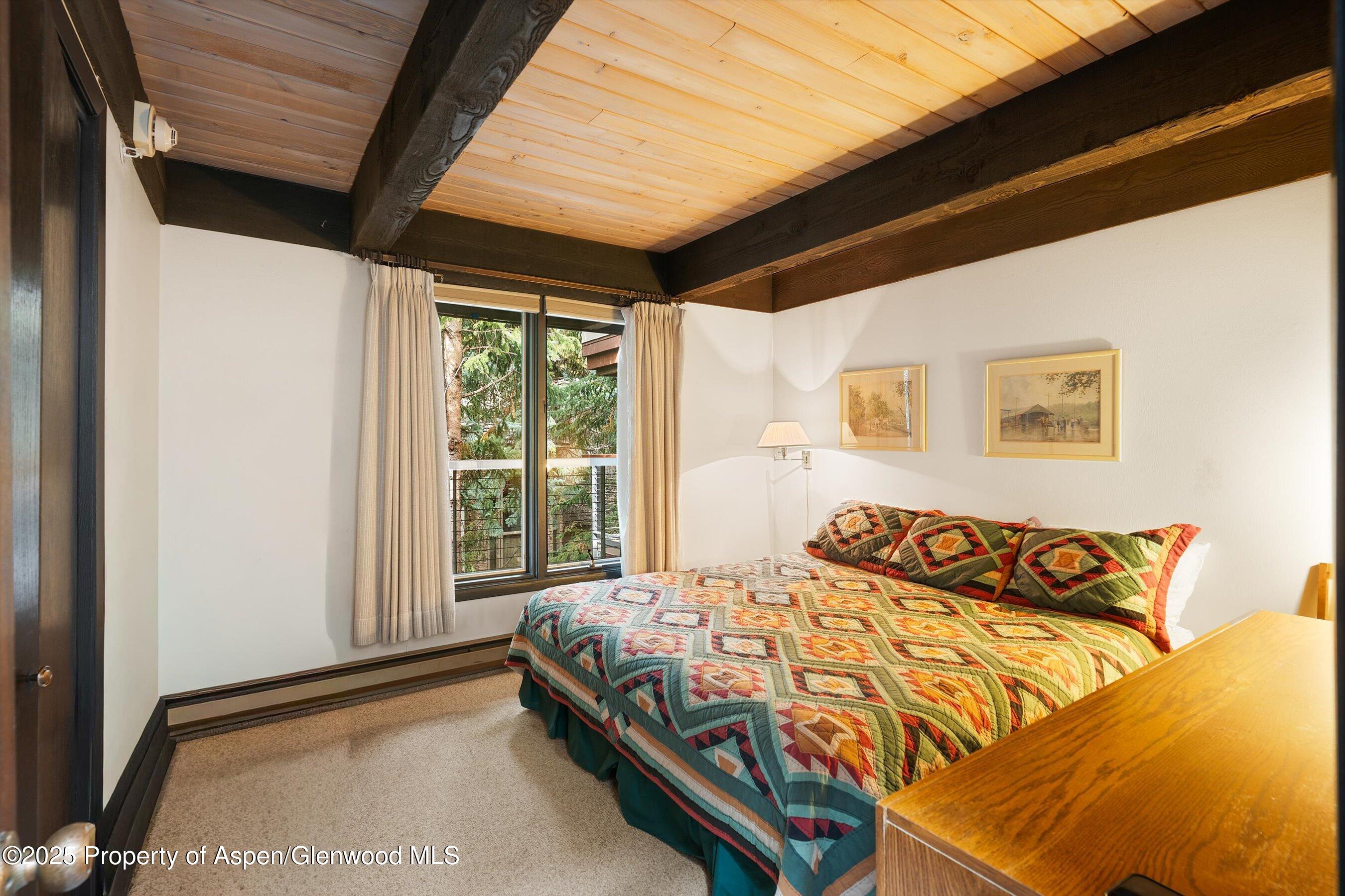 1034 E Cooper Avenue Aspen CO 81611