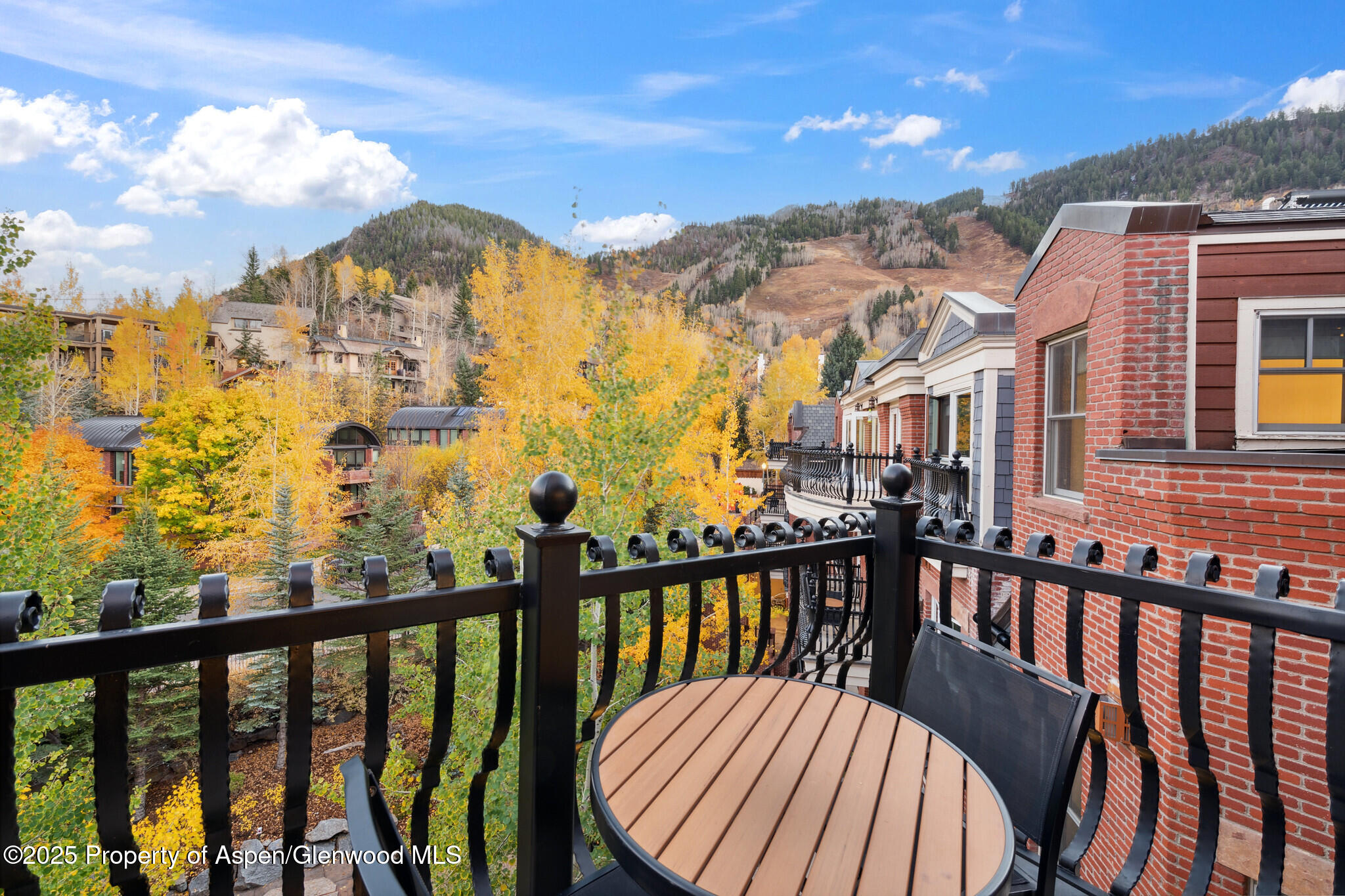 415 E Dean St, #47, Weeks 51/52 Aspen CO 81611