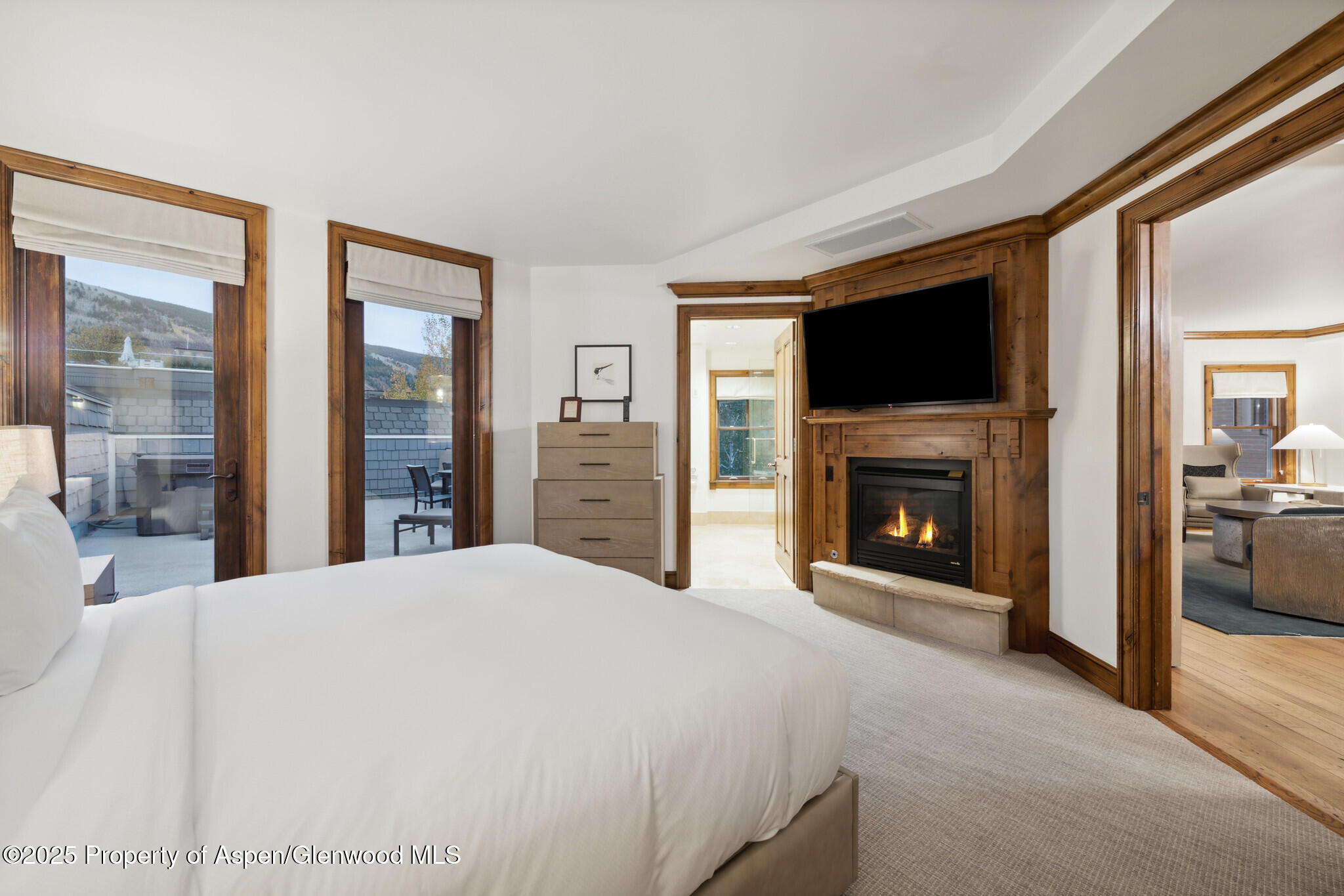 415 E Dean St, #47, Weeks 51/52 Aspen CO 81611