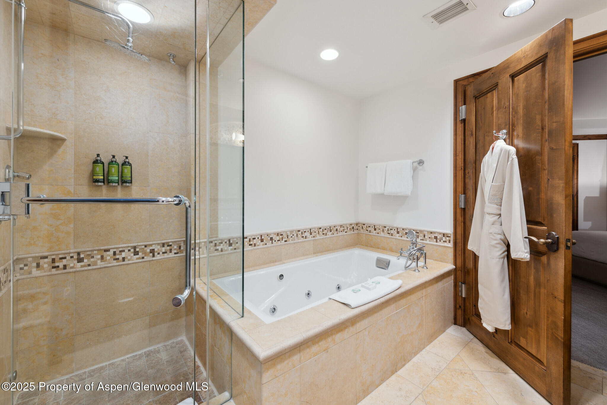 415 E Dean St, #47, Weeks 51/52 Aspen CO 81611