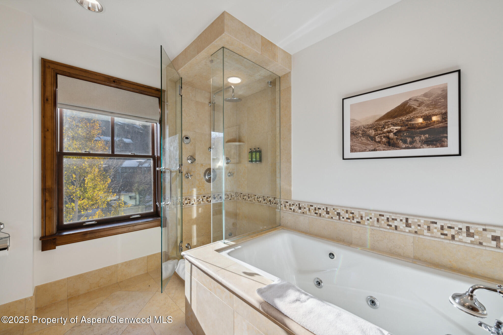 415 E Dean St, #47, Weeks 51/52 Aspen CO 81611