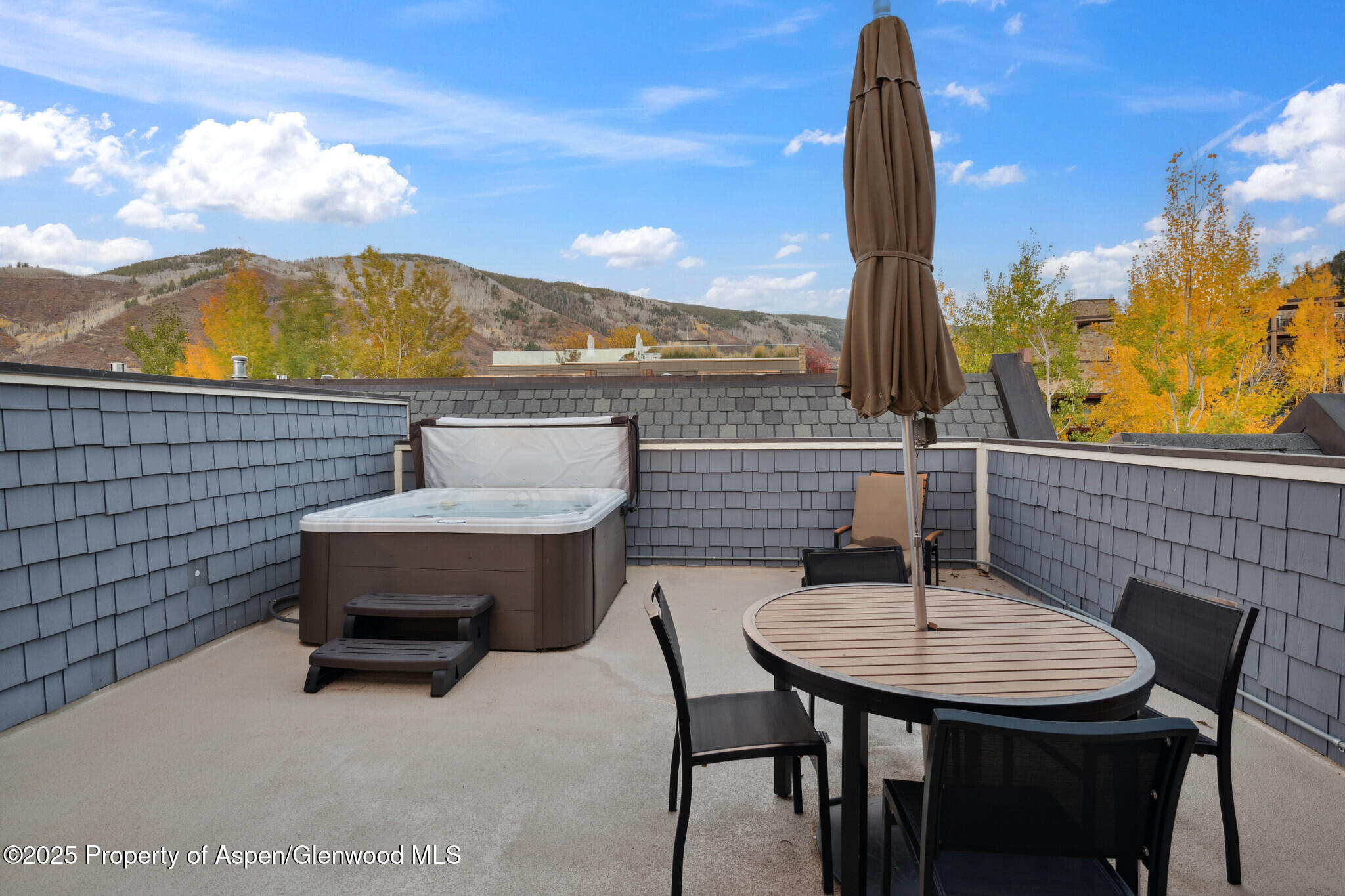 415 E Dean St, #47, Weeks 51/52 Aspen CO 81611