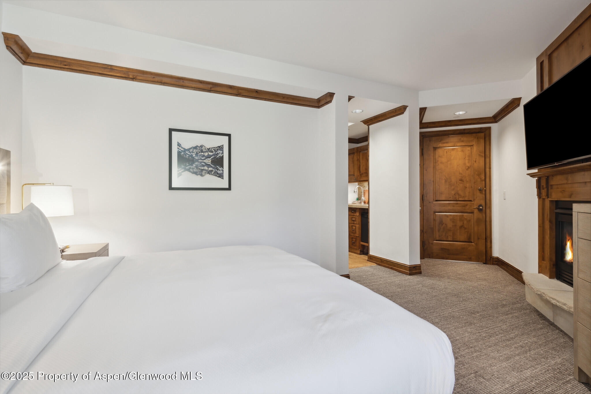 415 E Dean St, #47, Weeks 51/52 Aspen CO 81611